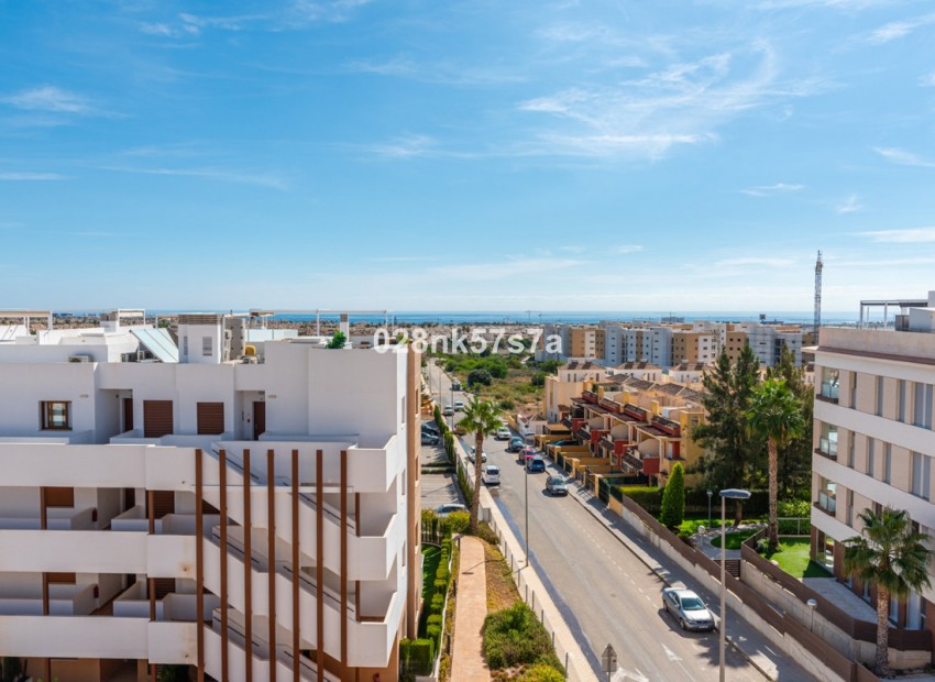 Resale - Apartment - Los Dolses