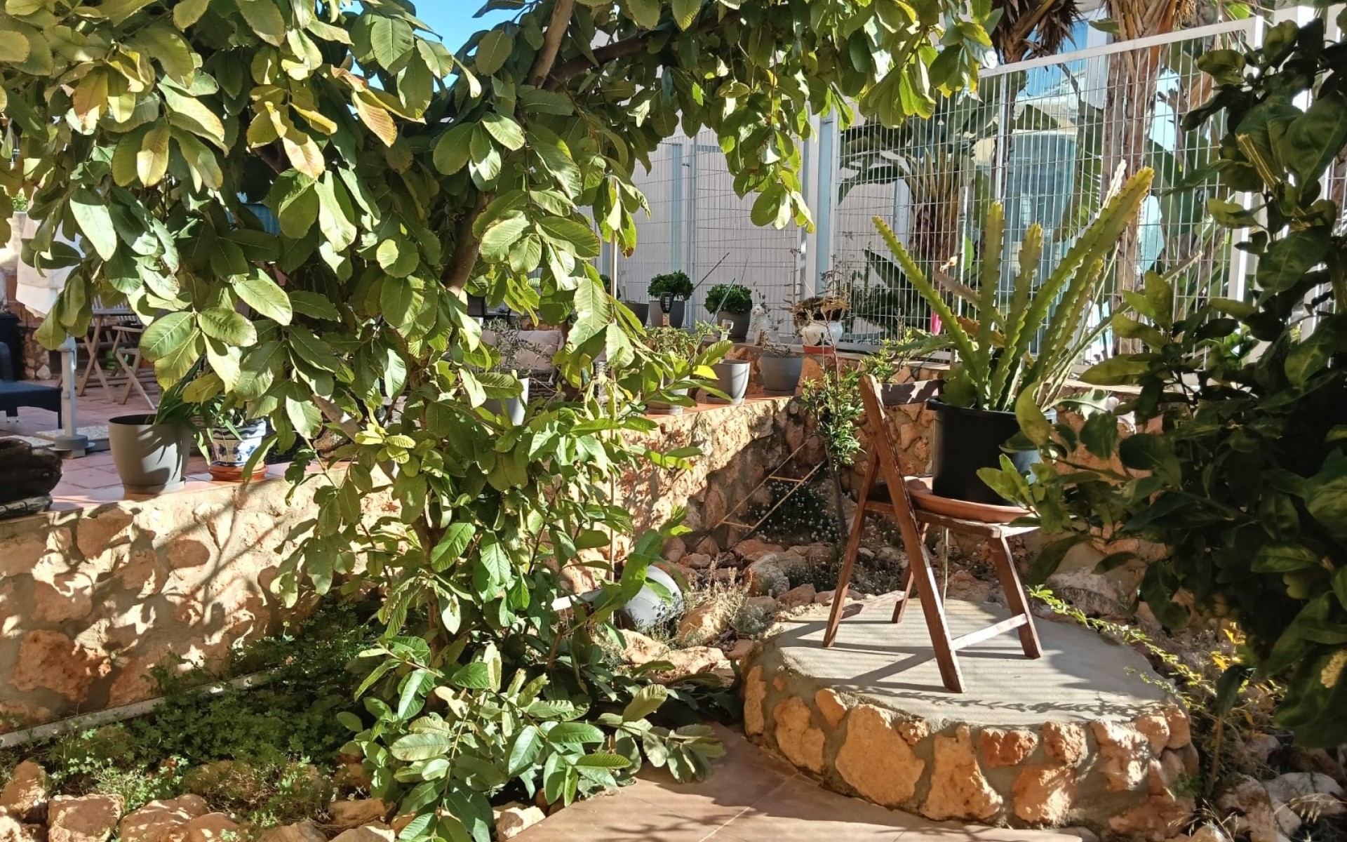 Resale - Apartment - Los Montesinos - La Herada