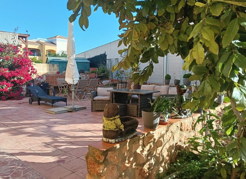 Resale - Apartment - Los Montesinos - Los Montesinos Centro