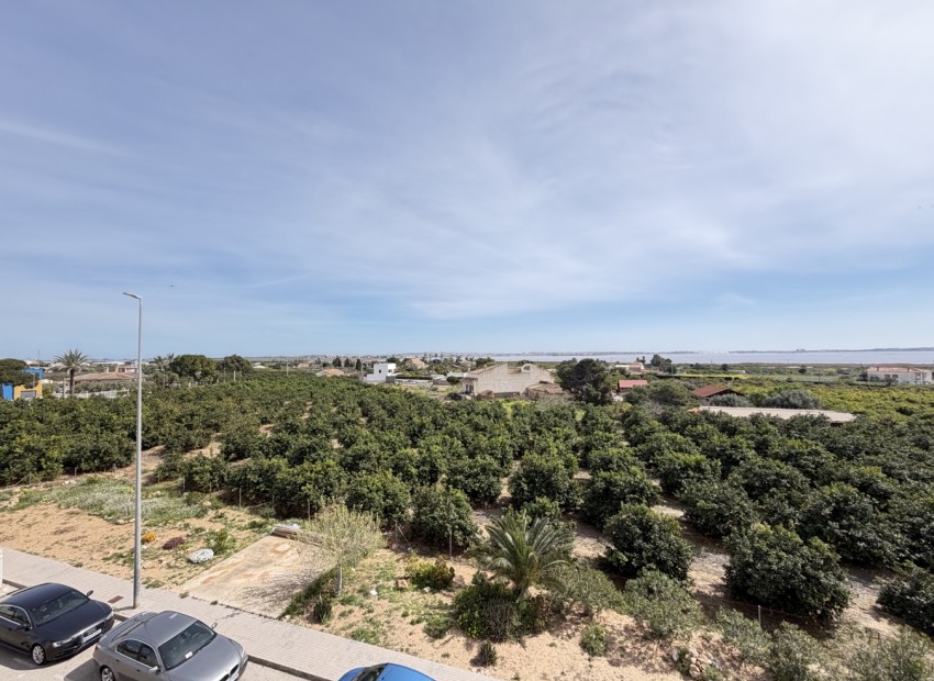 Resale - Apartment - Los Montesinos