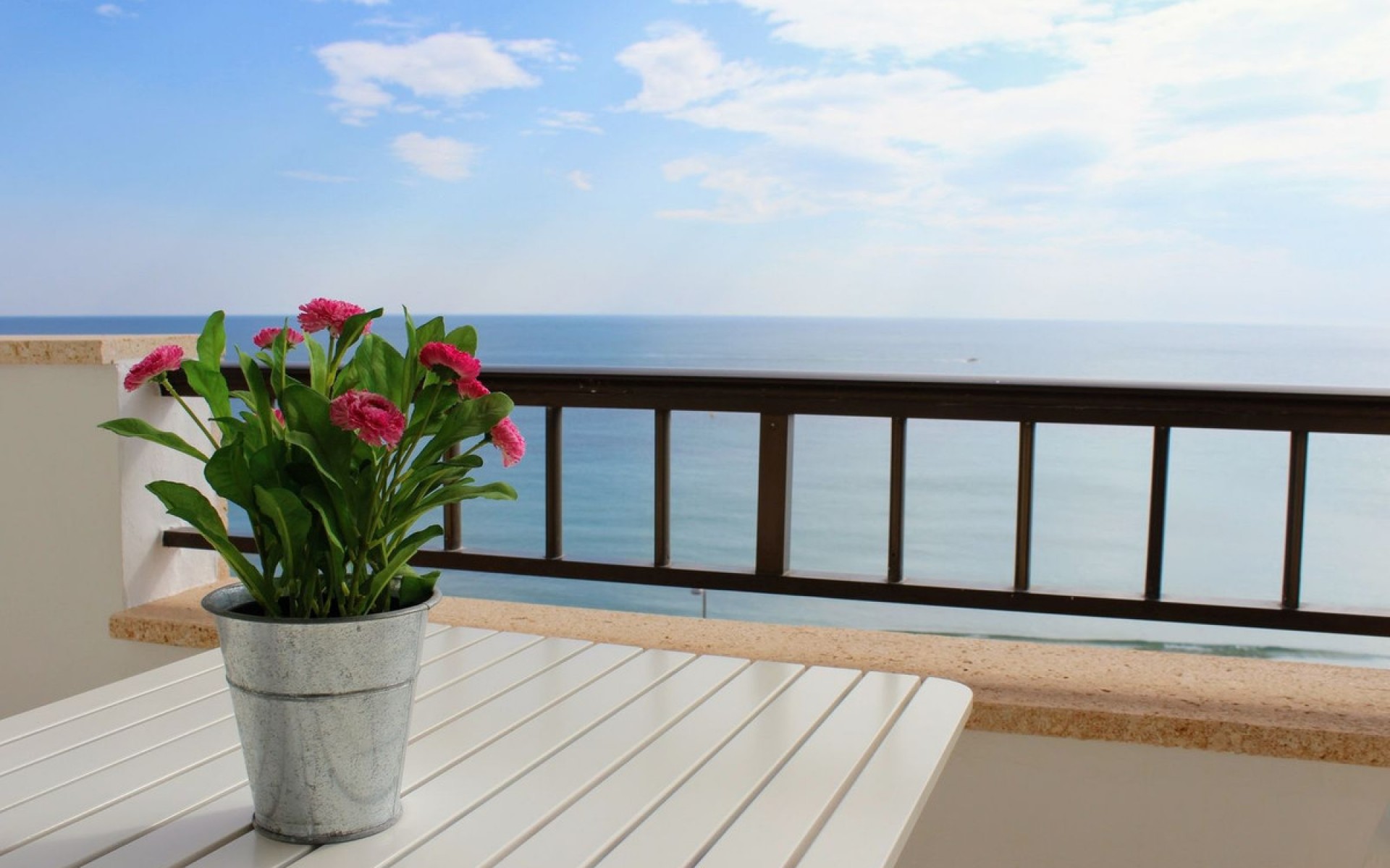 Resale - Apartment - Mil Palmeras