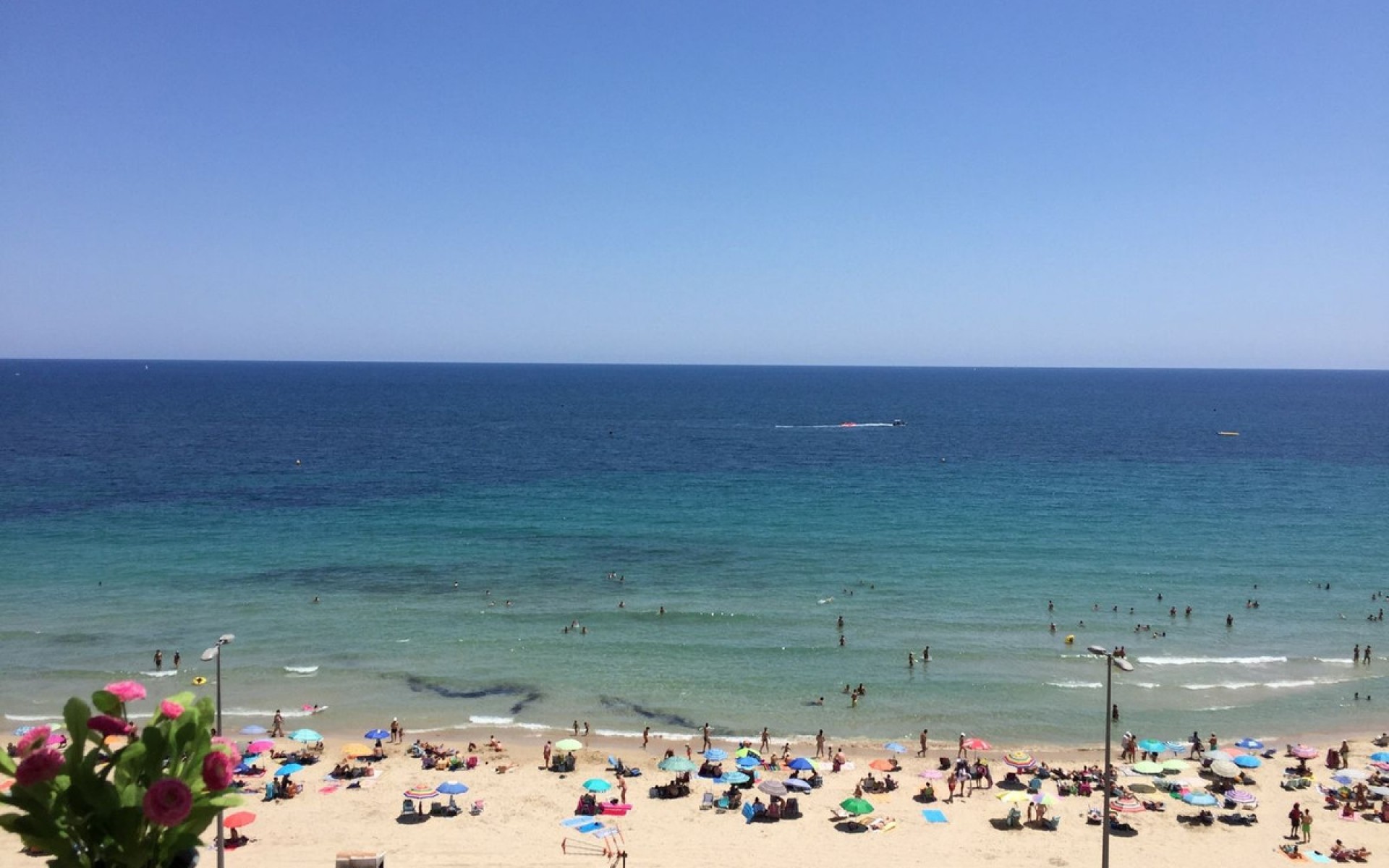 Resale - Apartment - Mil Palmeras