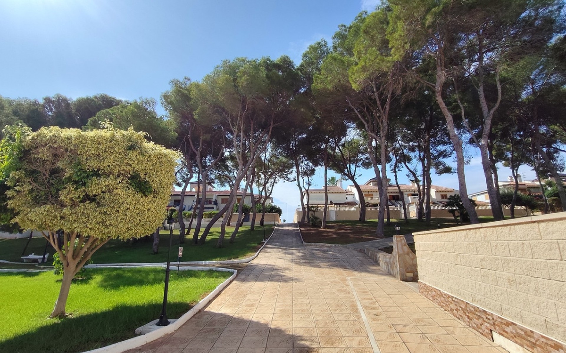 Resale - Apartment - Orihuela - Mil Palmeras