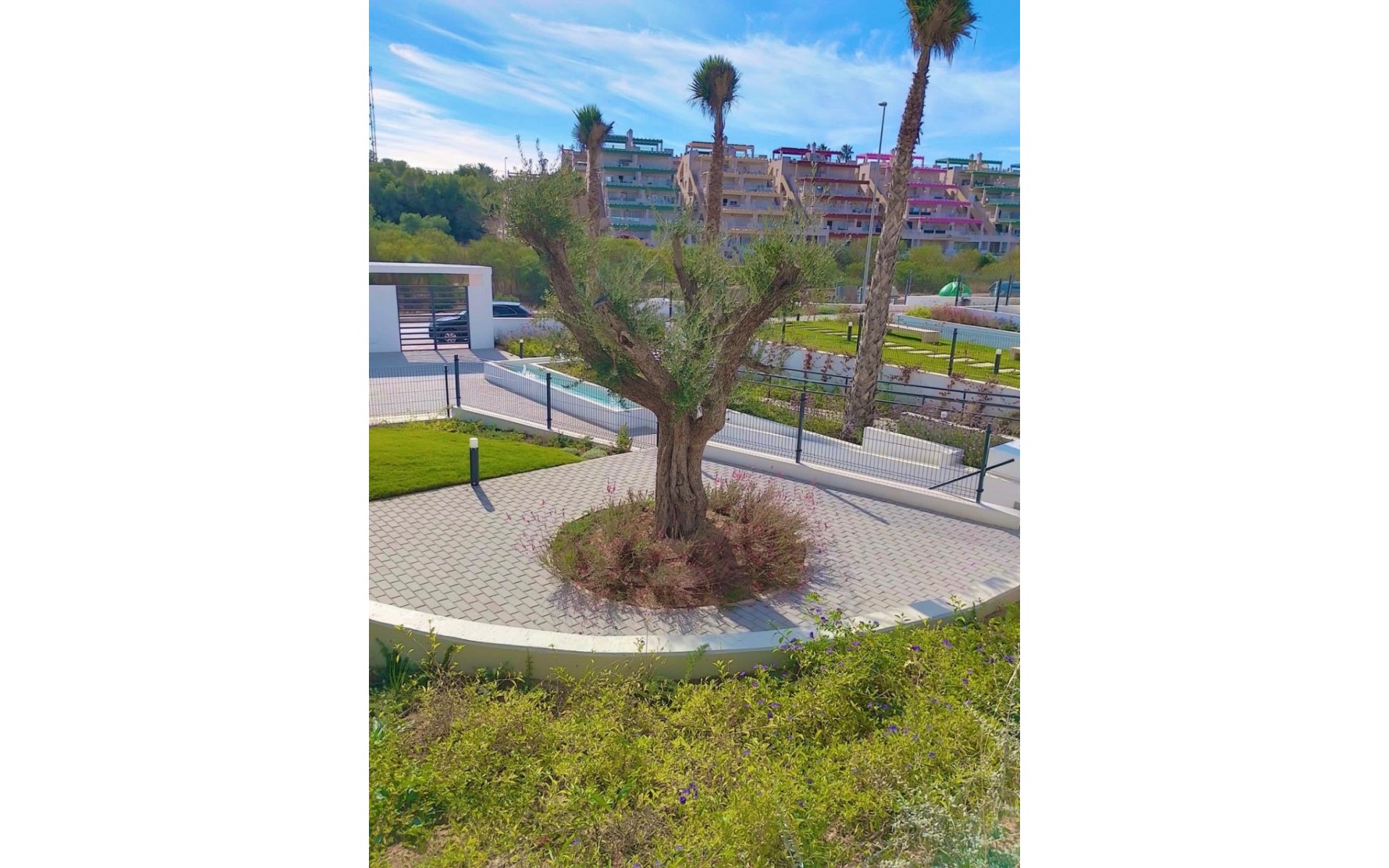 Resale - Apartment - Orihuela - Orihuela Centro