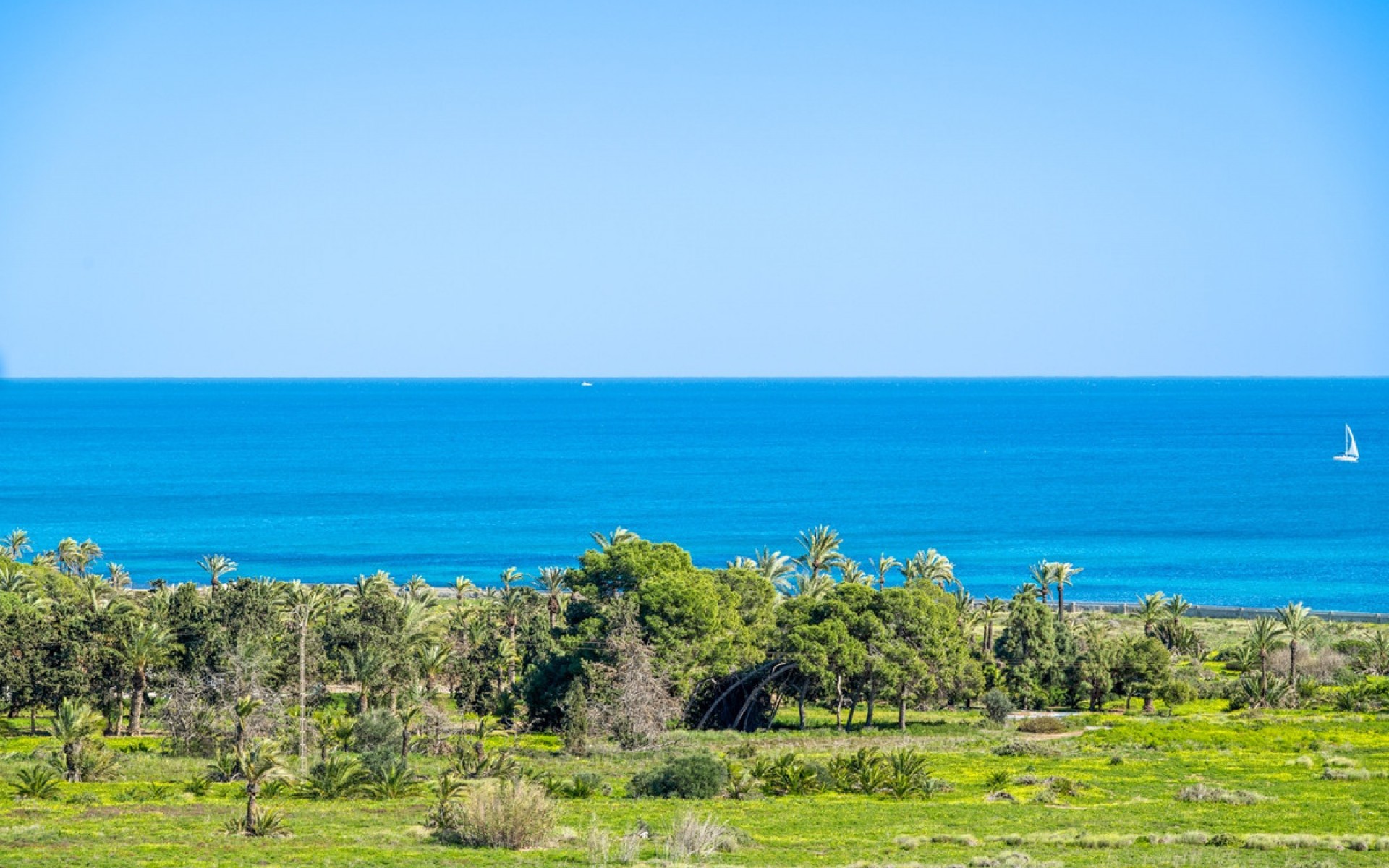 Resale - Apartment - Orihuela - Punta Prima
