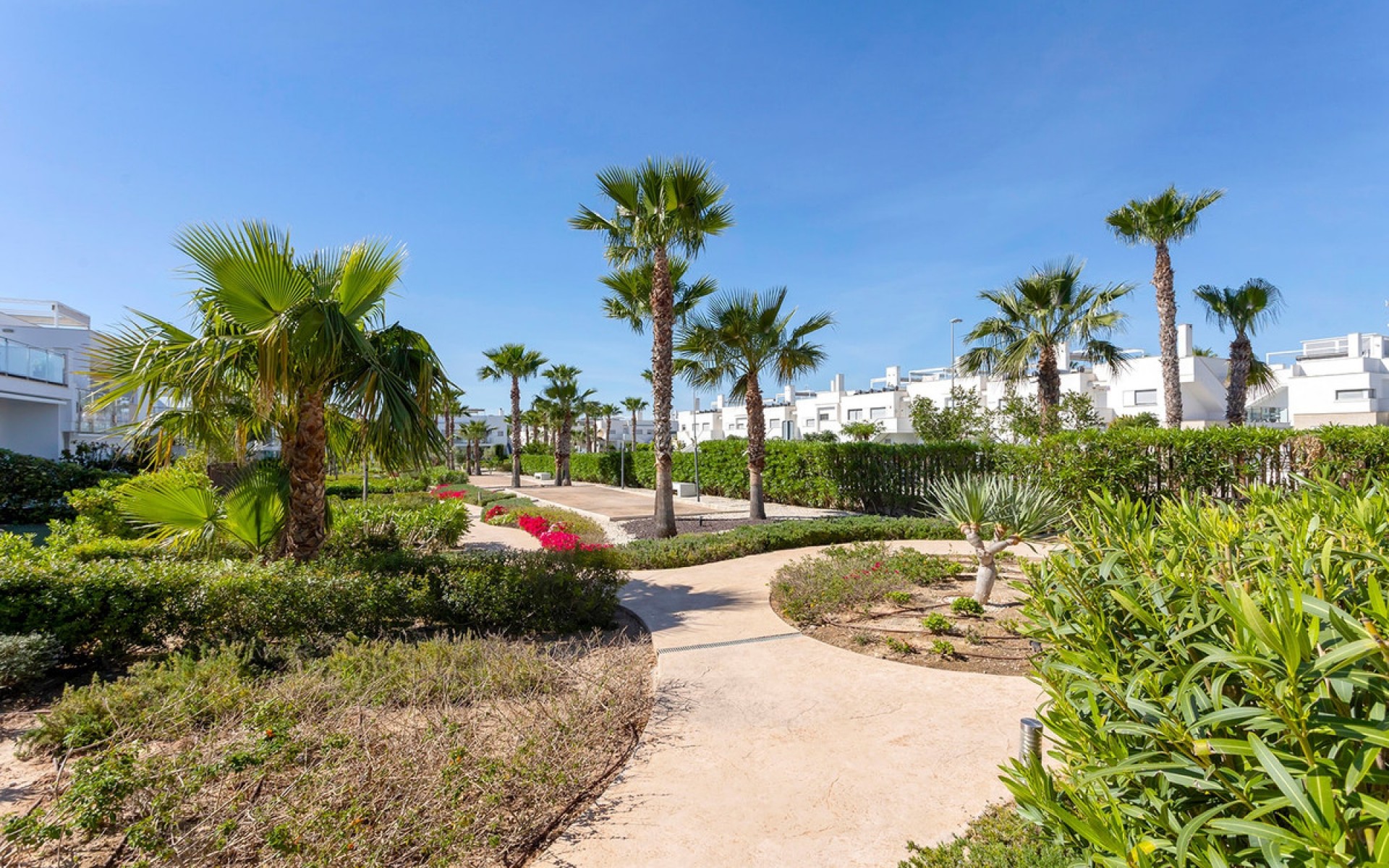 Resale - Apartment - Orihuela - Vistabella Golf Resort