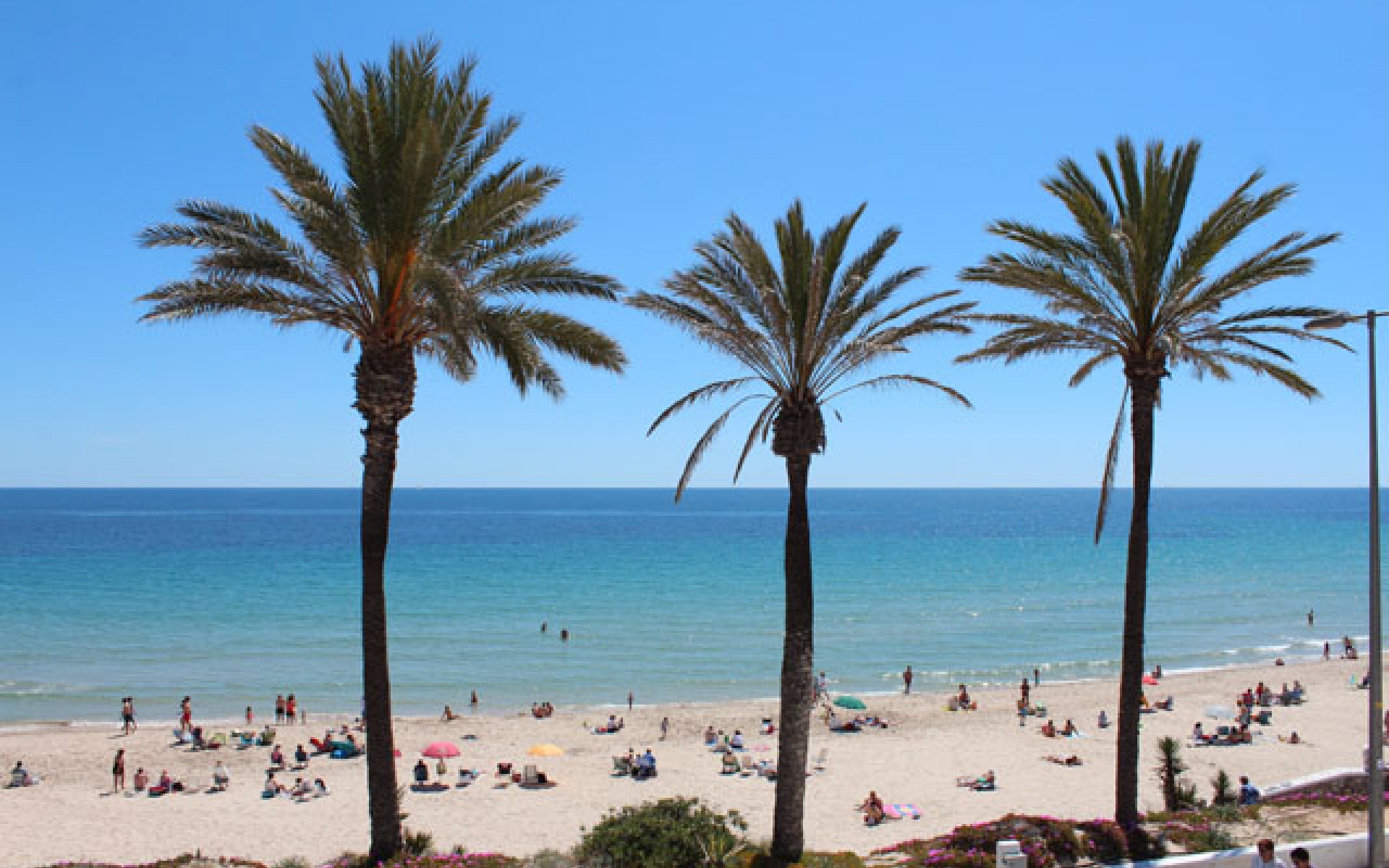 Resale - Apartment - Pilar de la Horadada - Mil Palmeras