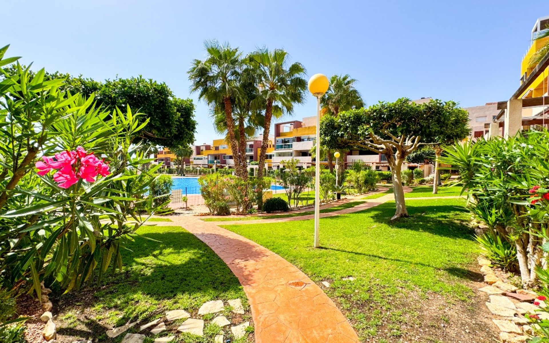 Resale - Apartment - Playa Flamenca