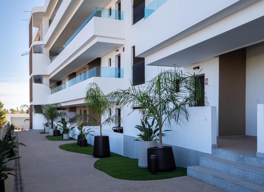 Resale - Apartment - Playa Flamenca
