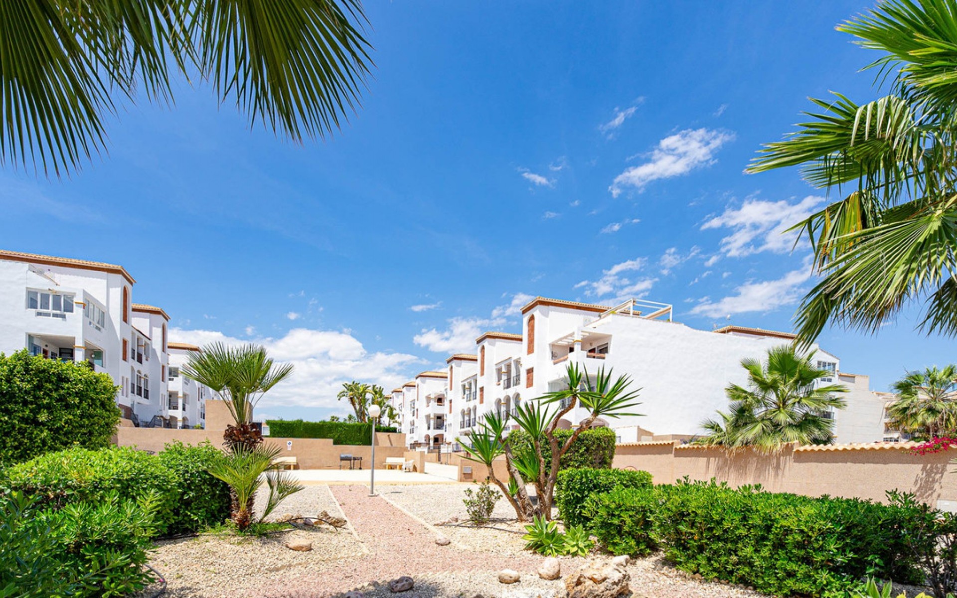 Resale - Apartment - Punta Prima - La Ciñuelica