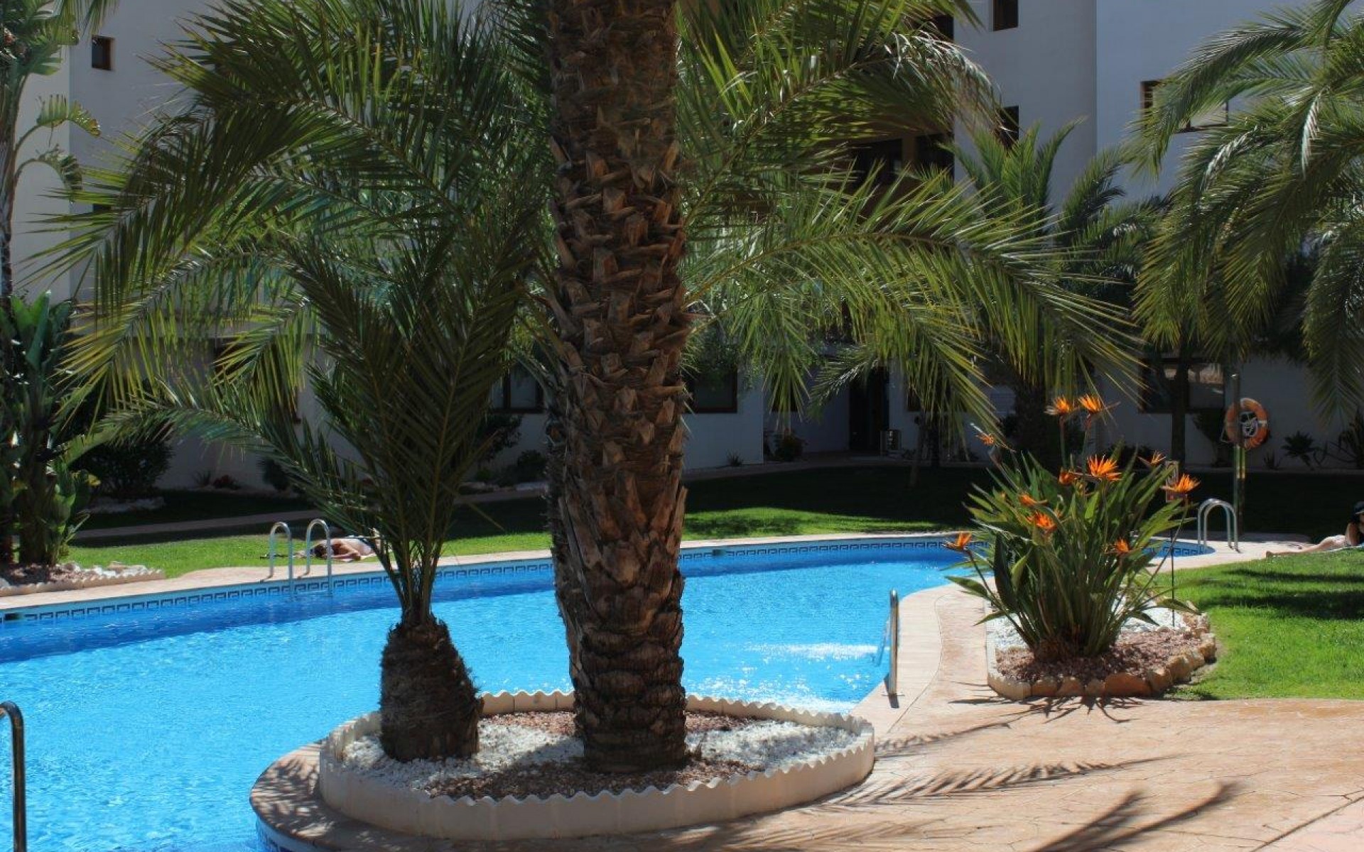 Resale - Apartment - Punta Prima - La Entrada