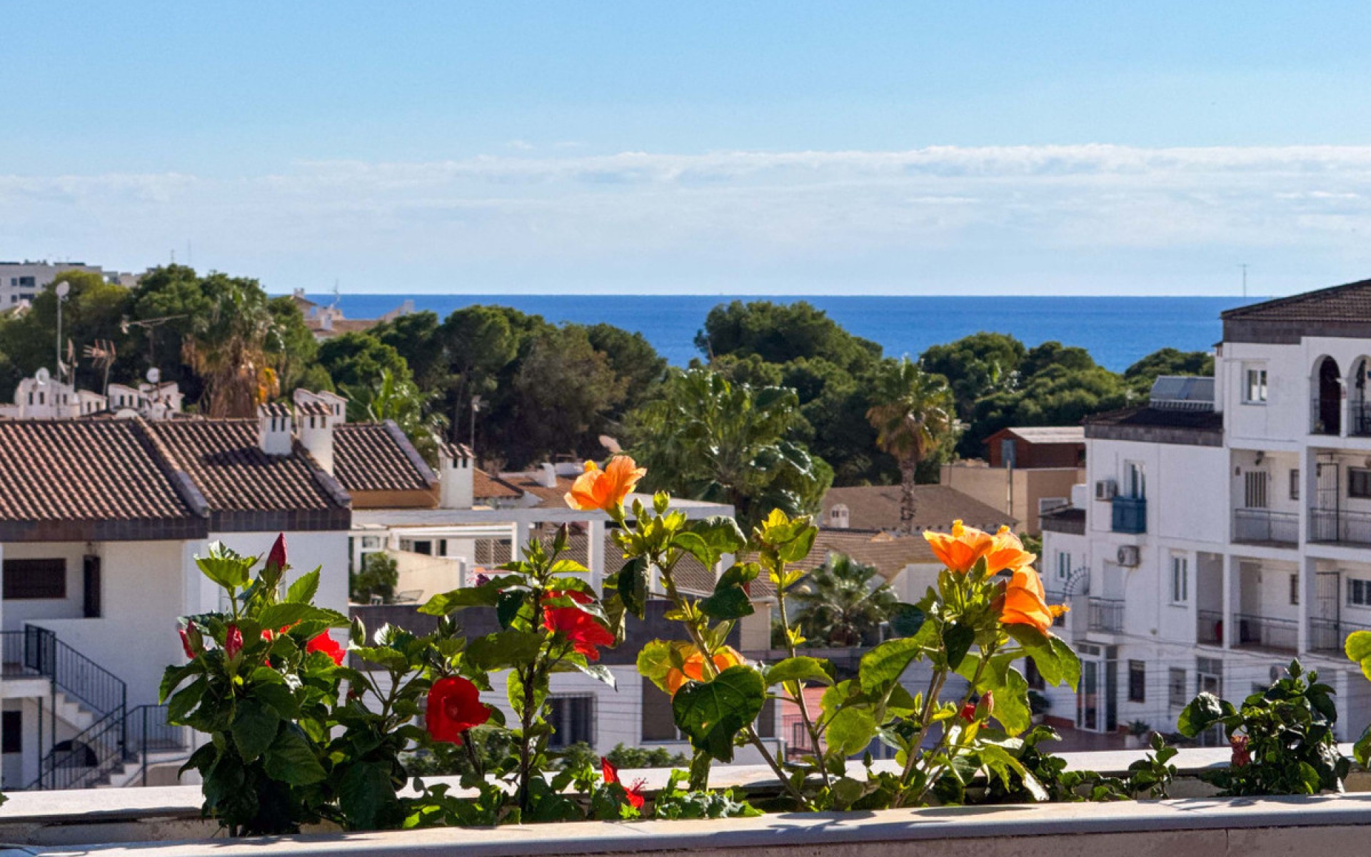 Resale - Apartment - Punta Prima