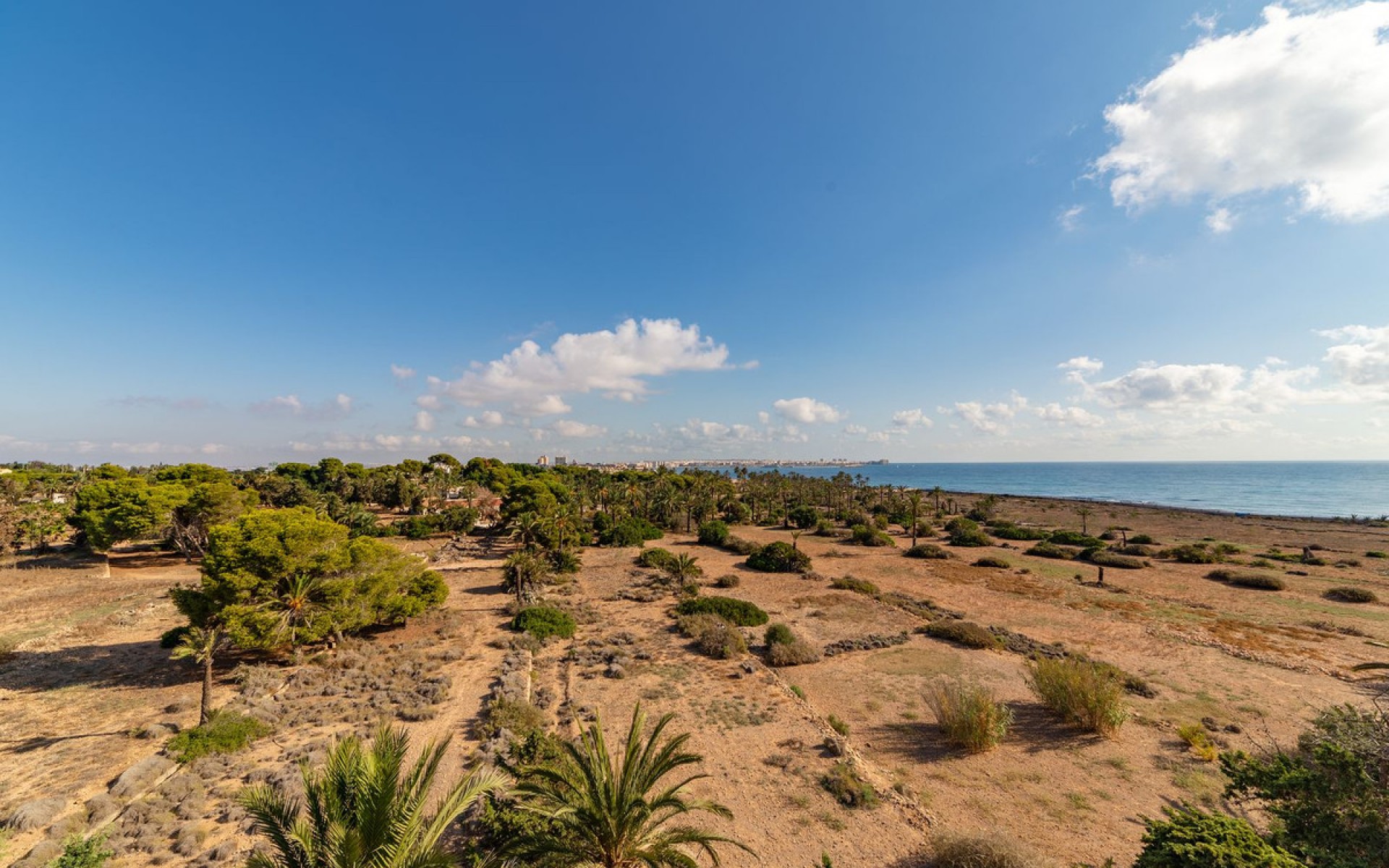 Resale - Apartment - Punta Prima