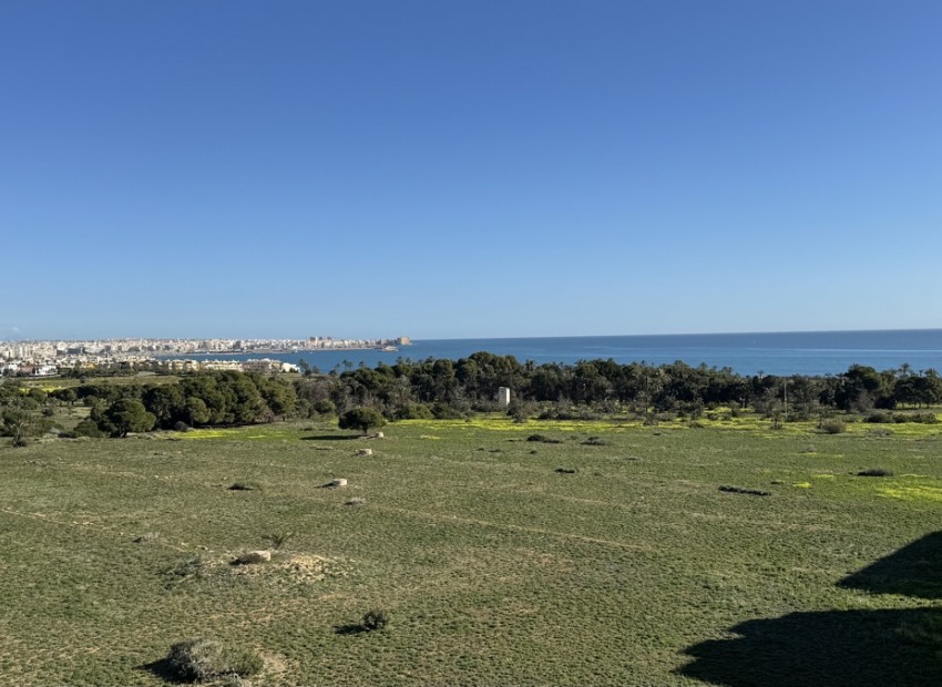 Resale - Apartment - Punta Prima