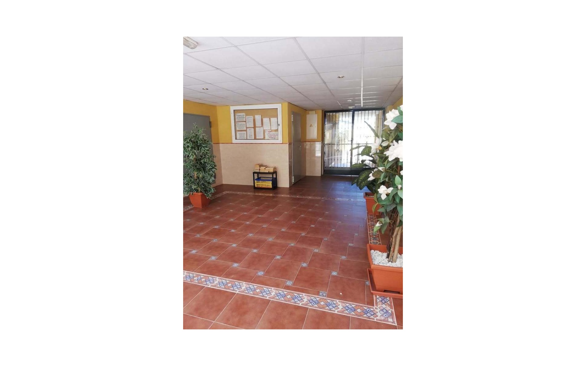 Resale - Apartment - Rafal - rafal