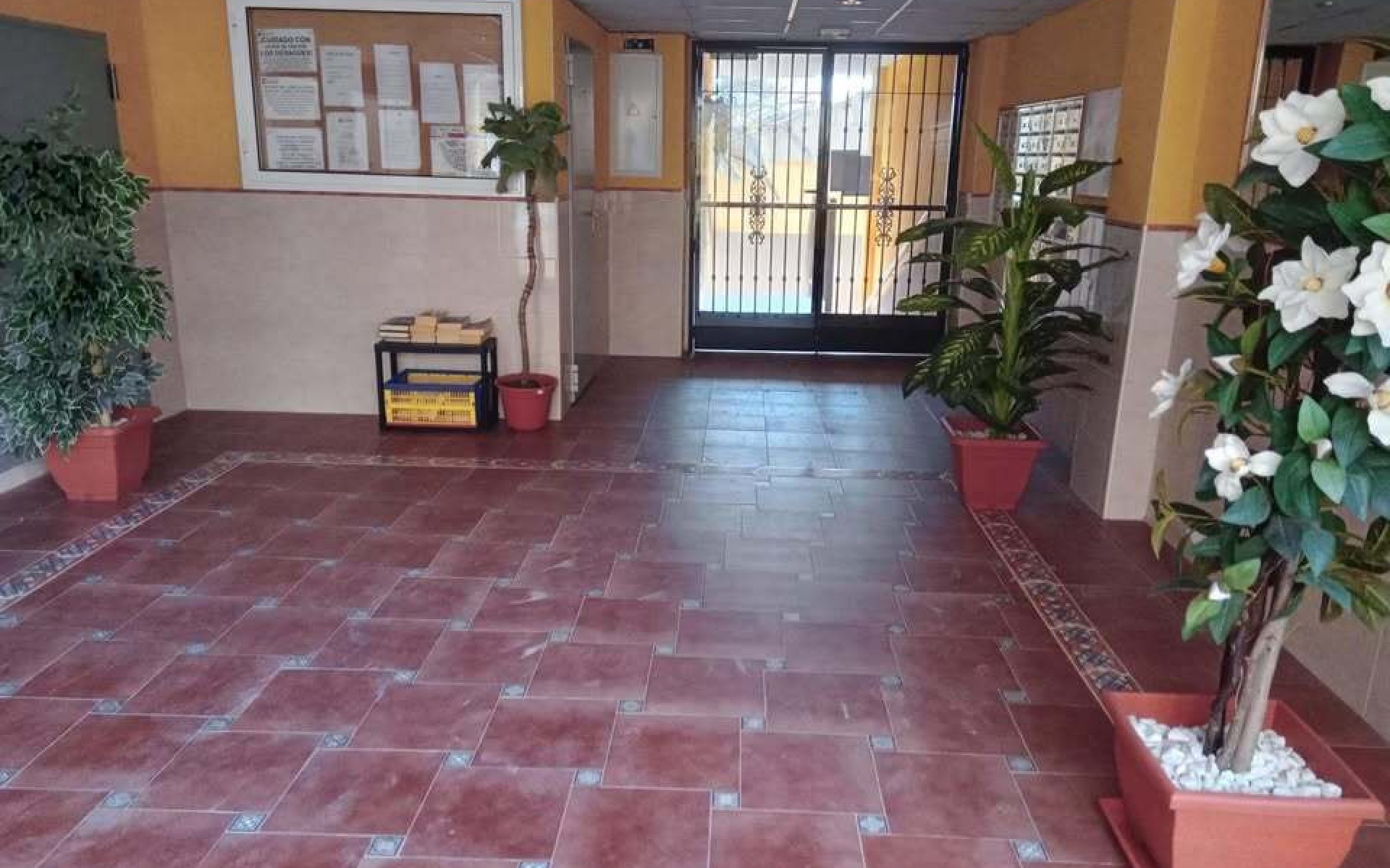 Resale - Apartment - Rafal - rafal