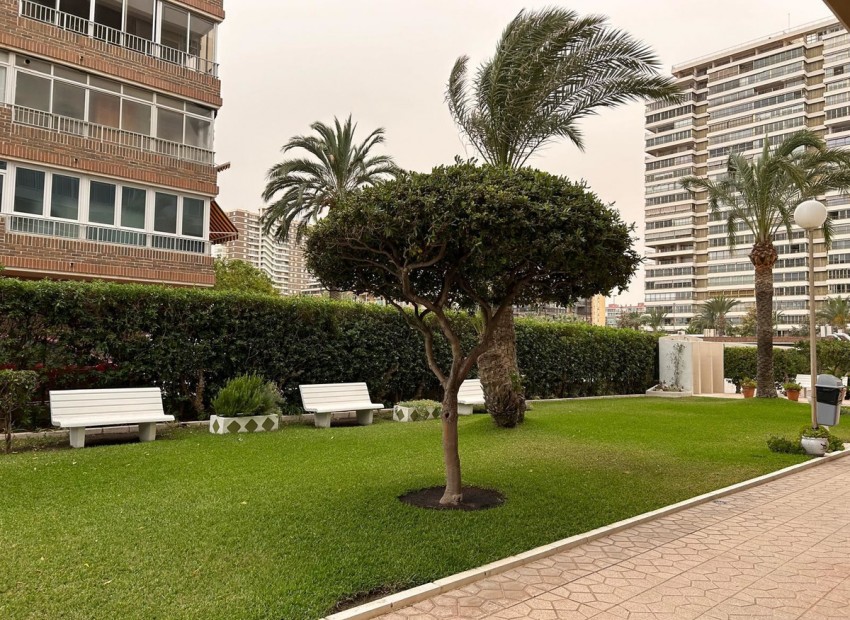 Resale - Apartment - San Juan