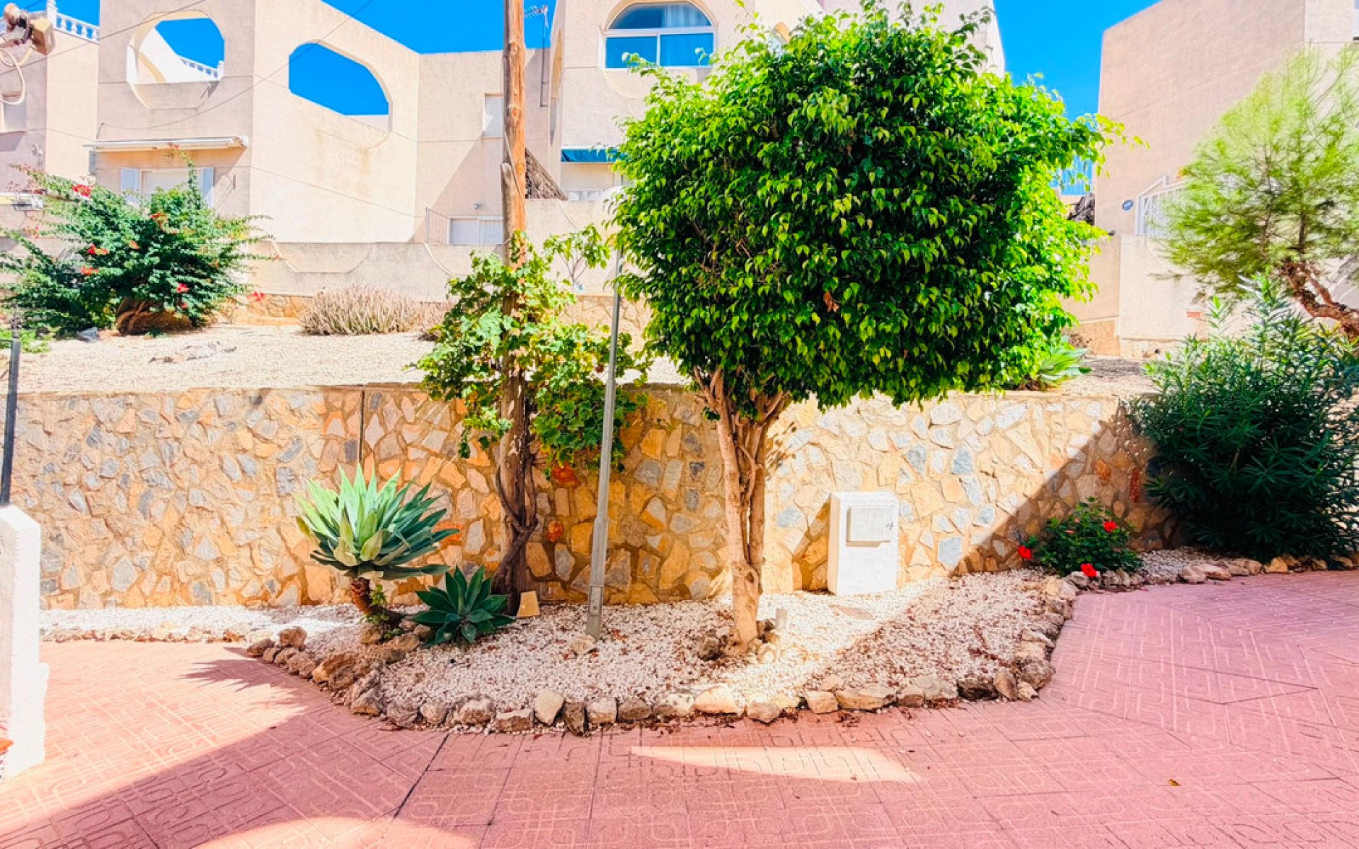 Resale - Apartment - San Miguel De Salinas - San Miguel de Salinas Centro