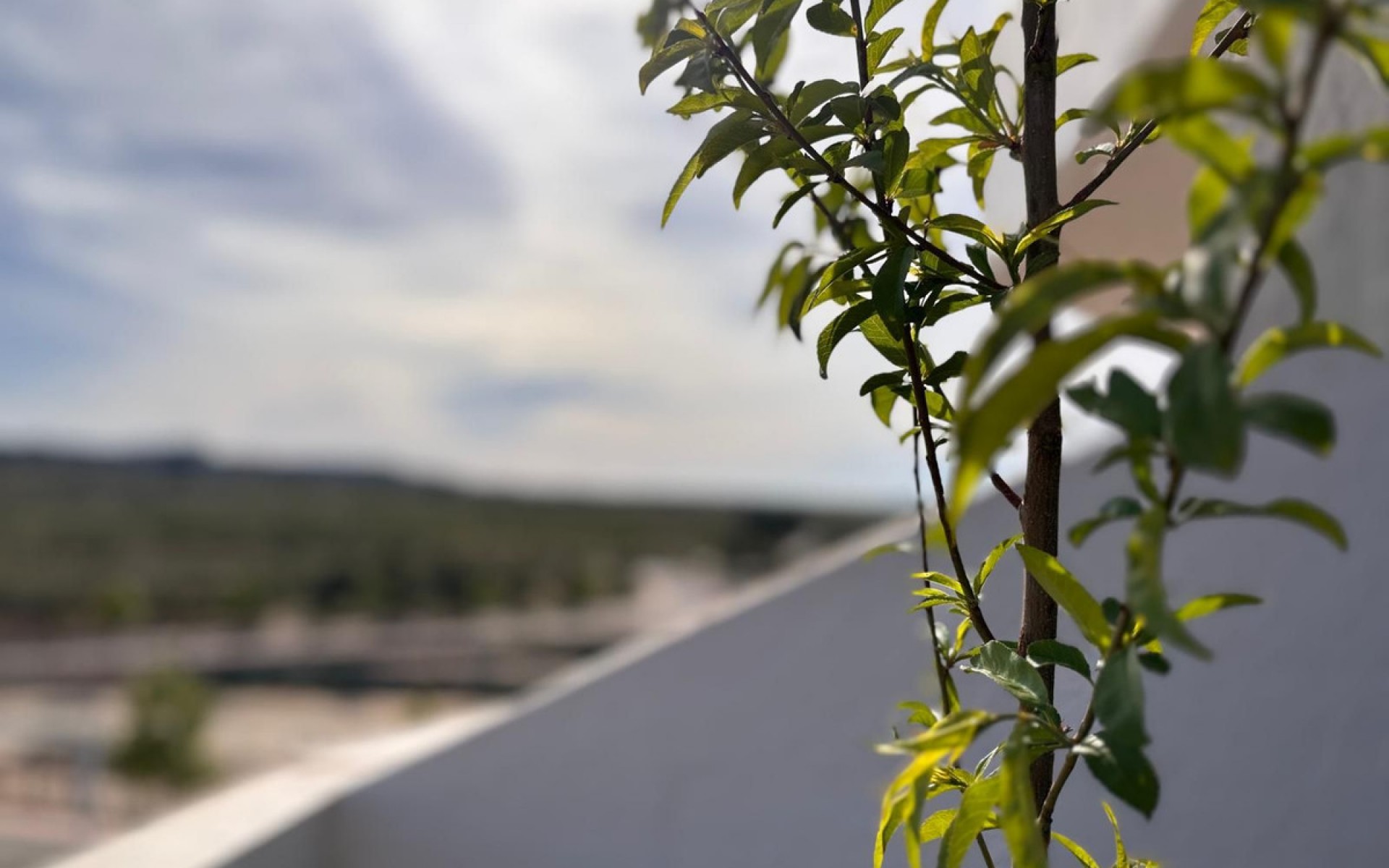 Resale - Apartment - San Miguel De Salinas - San Miguel