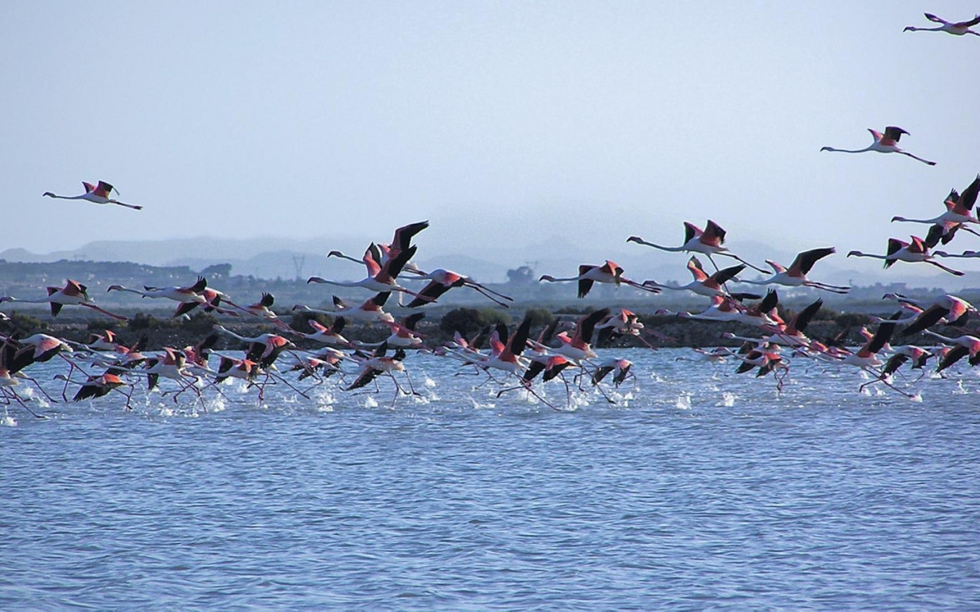 Resale - Apartment - Santa Pola - Gran Alacant