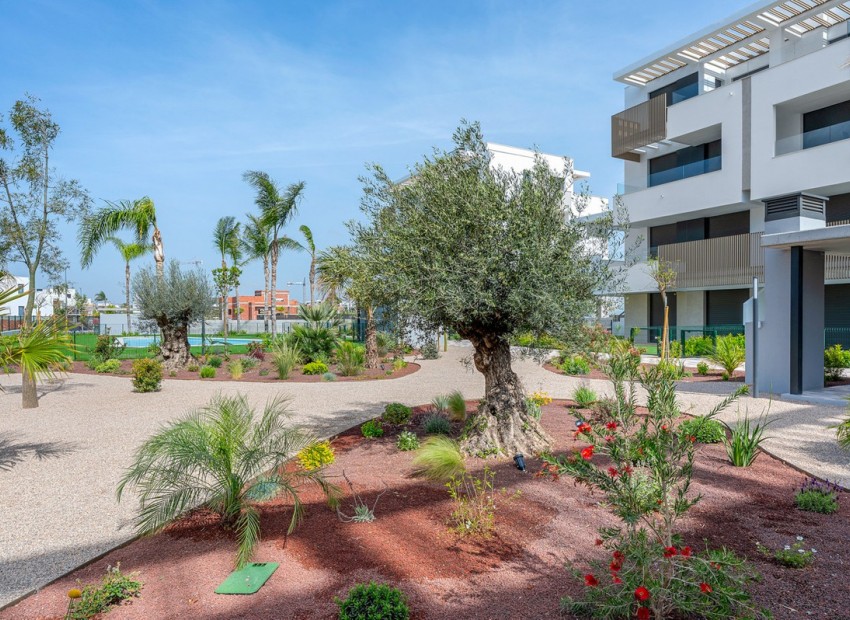 Resale - Apartment - Torre-Pacheco - Santa Rosalia Lake and Life Resort
