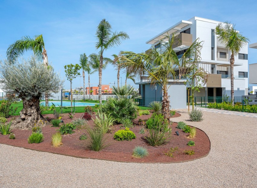 Resale - Apartment - Torre-Pacheco - Santa Rosalia Lake and Life Resort