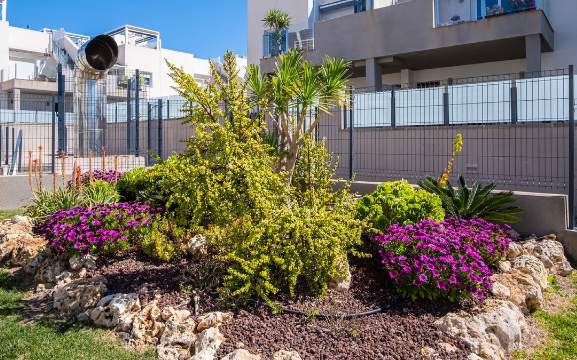 Resale - Apartment - Torrevieja - Aguas Nuevas