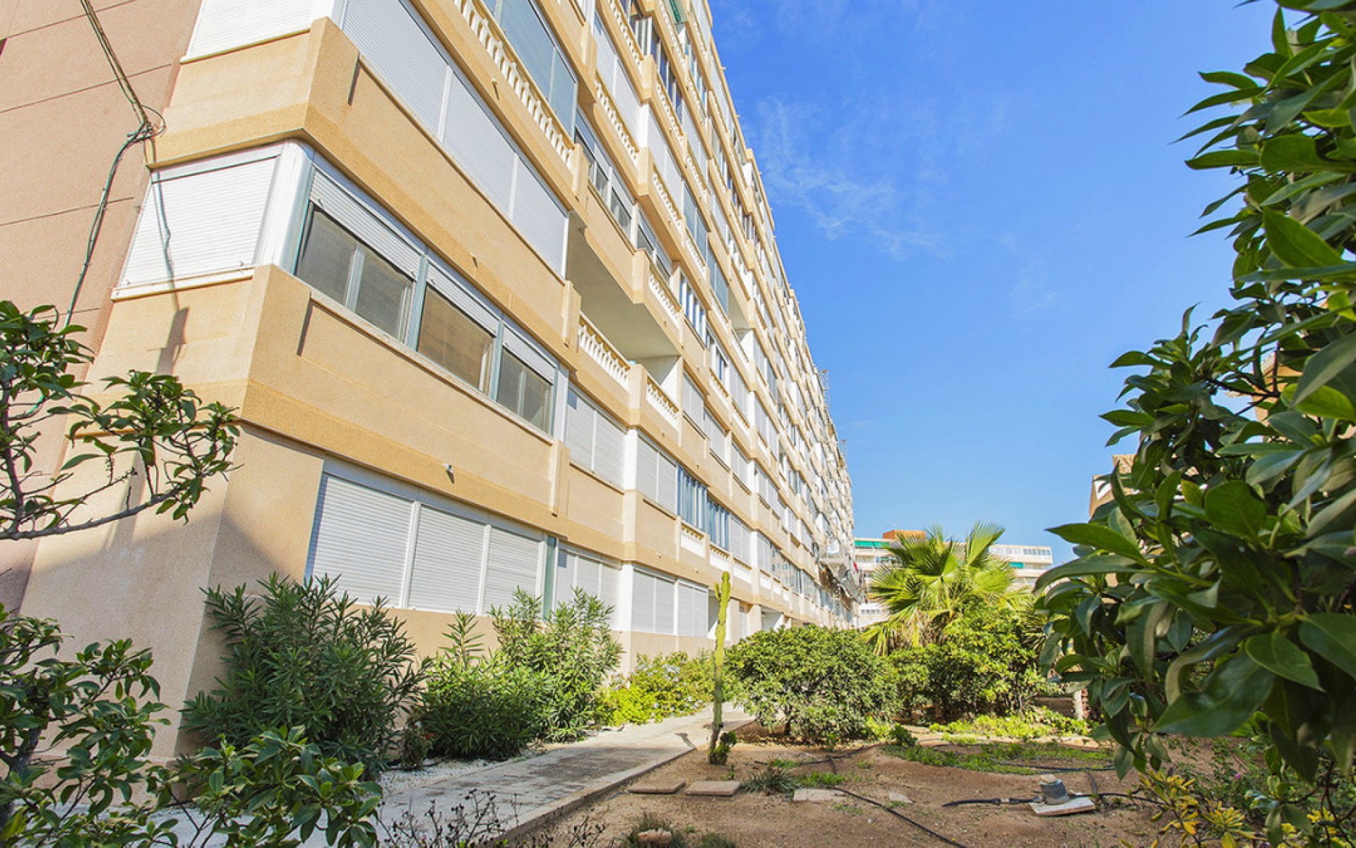 Resale - Apartment - Torrevieja - La Mata
