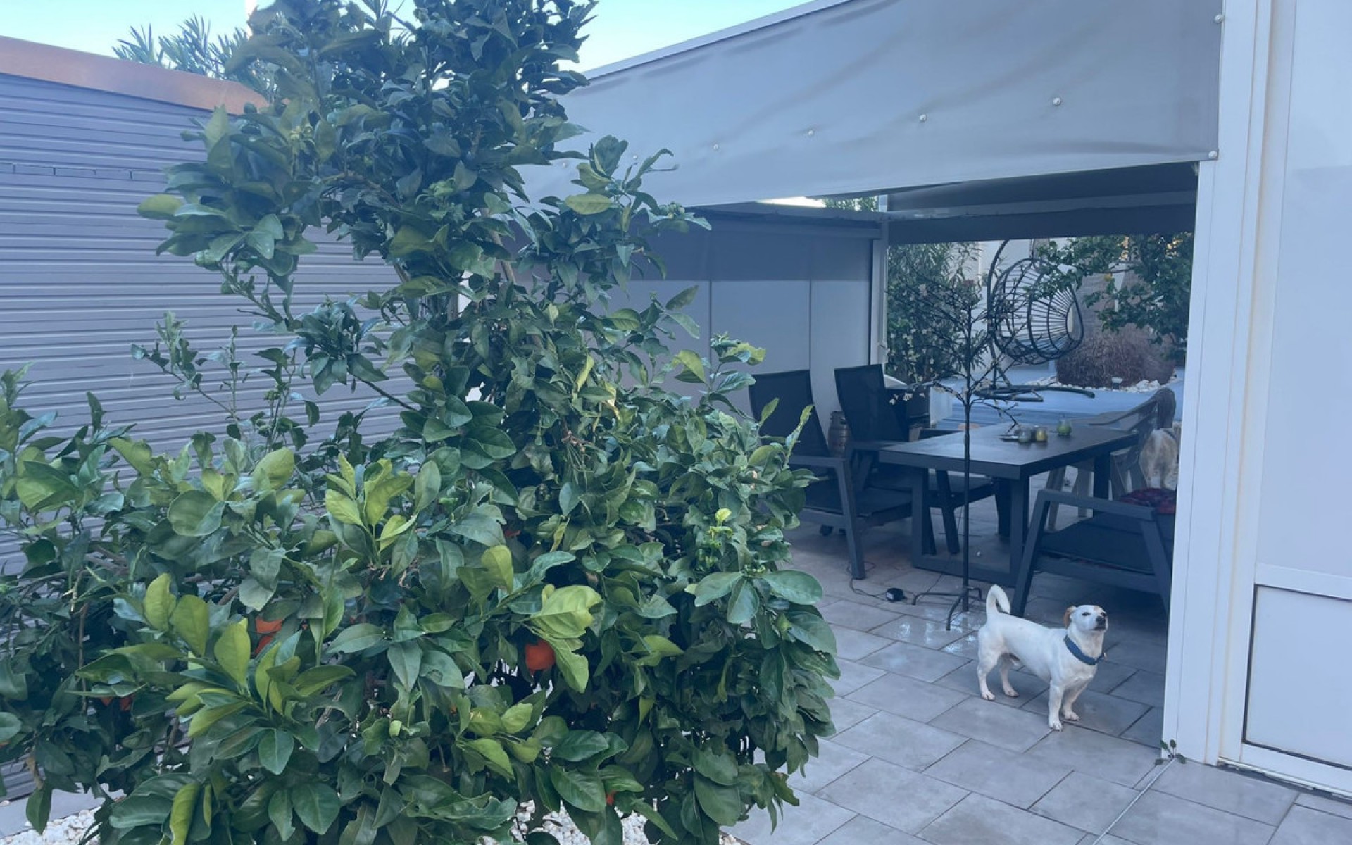 Resale - Apartment - Torrevieja - La Mata