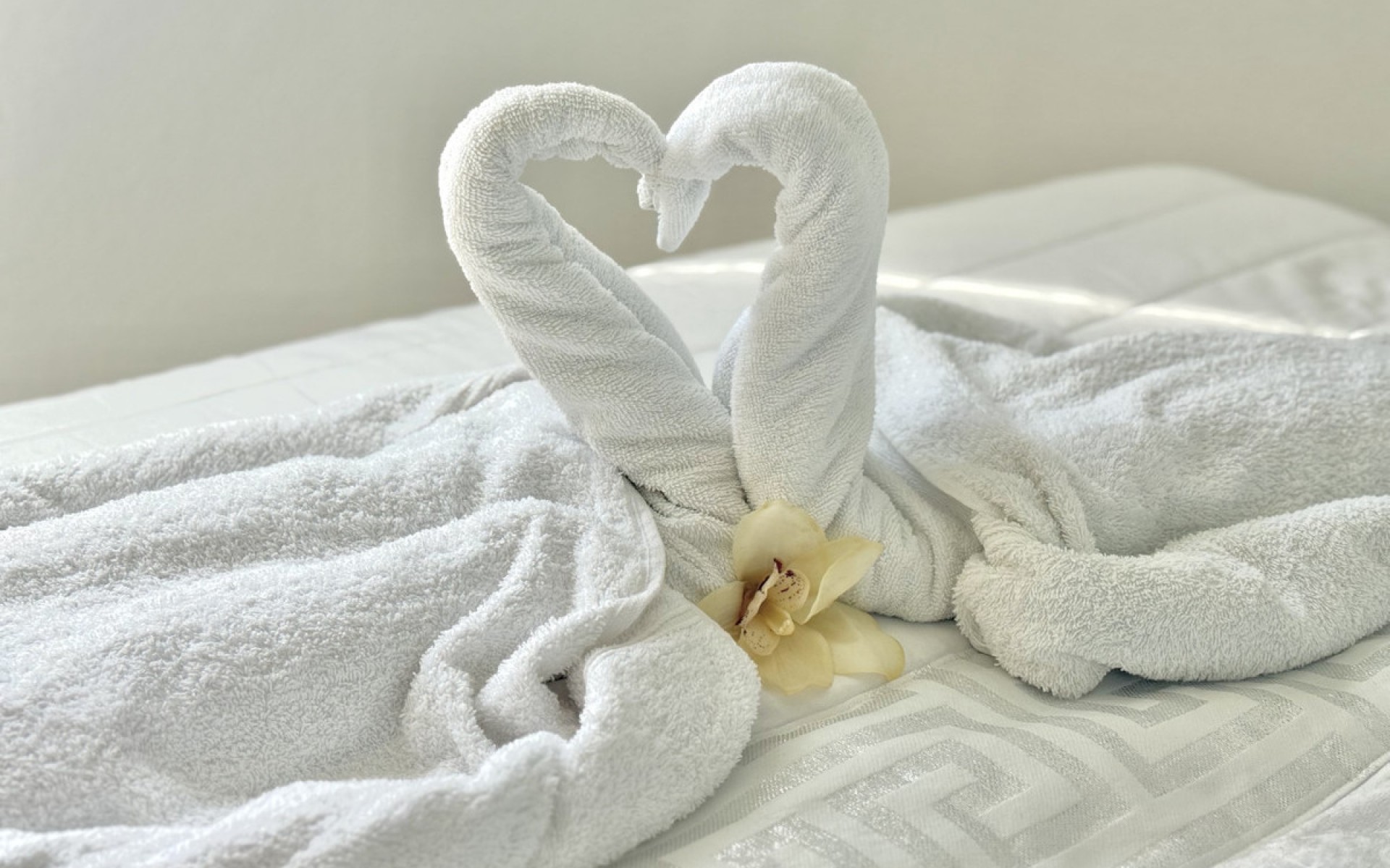 Resale - Apartment - Torrevieja - La Mata