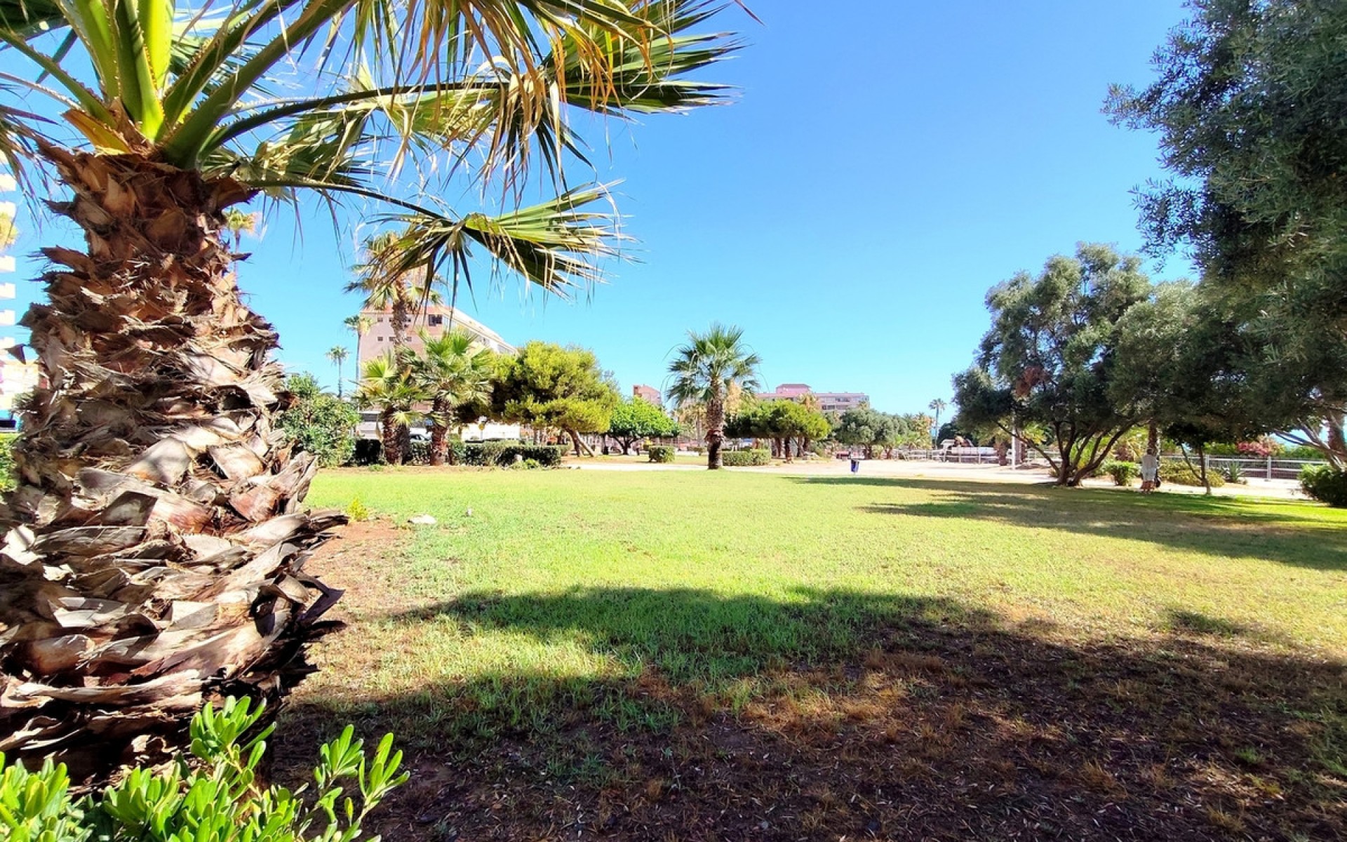 Resale - Apartment - Torrevieja - La Mata