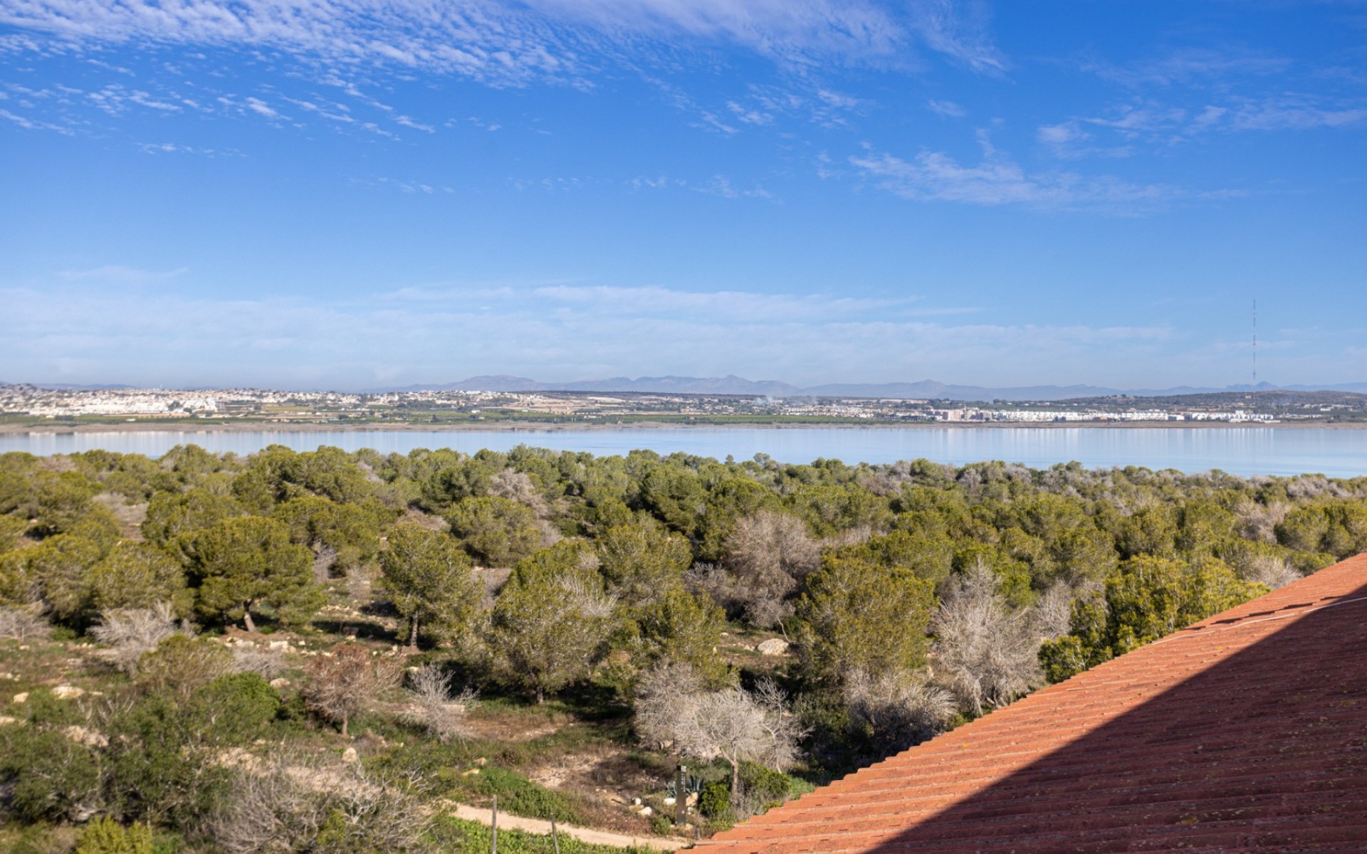 Resale - Apartment - Torrevieja - La Siesta