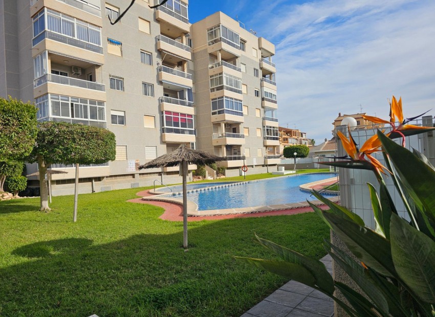 Resale - Apartment - Torrevieja - Torrevieja Centro