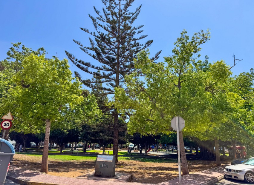 Resale - Apartment - Torrevieja - Torrevieja Centro