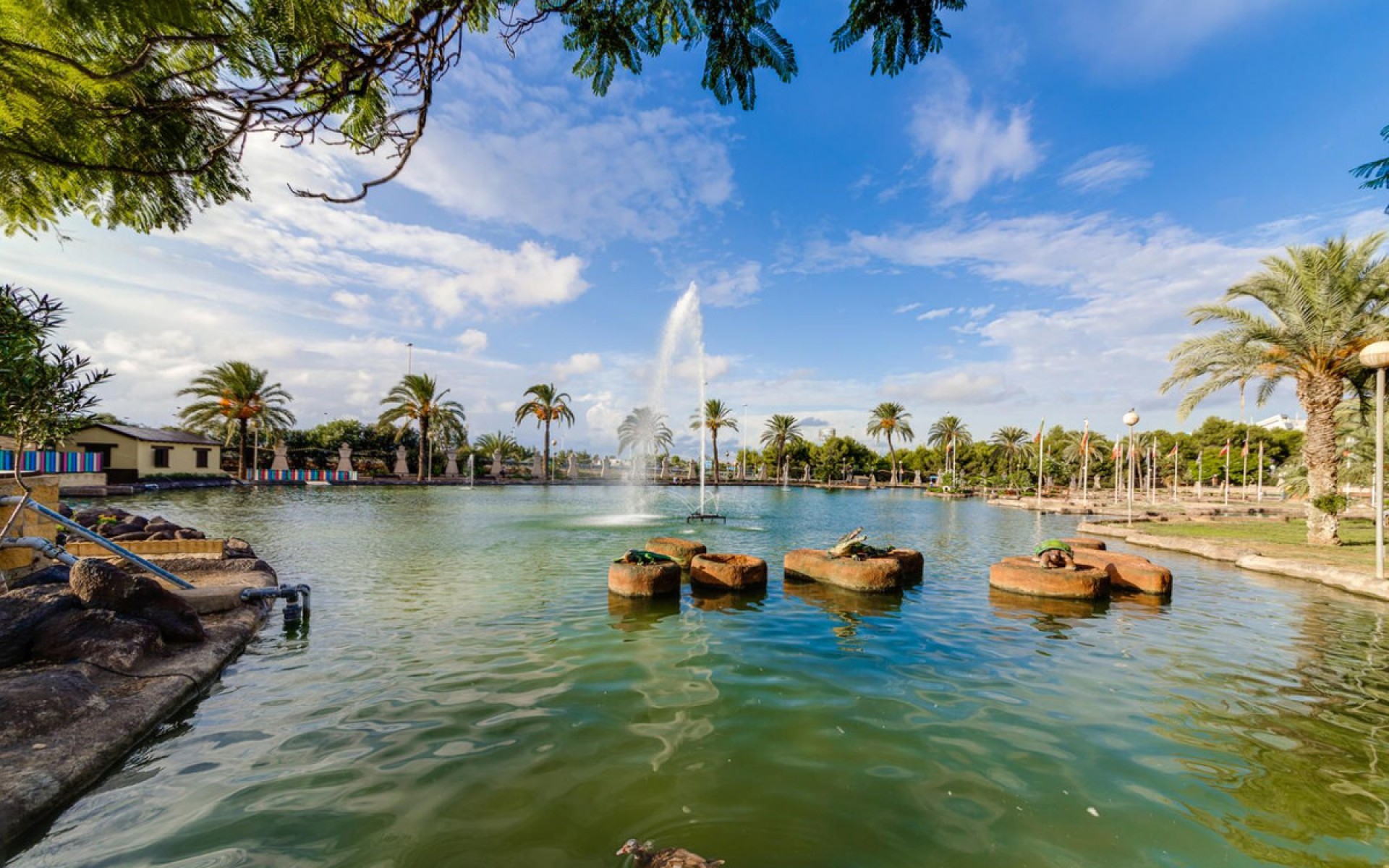 Resale - Apartment - Torrevieja - Torrevieja Centro