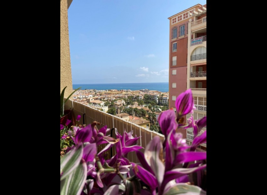 Resale - Apartment - Torrevieja - Torrevieja Centro