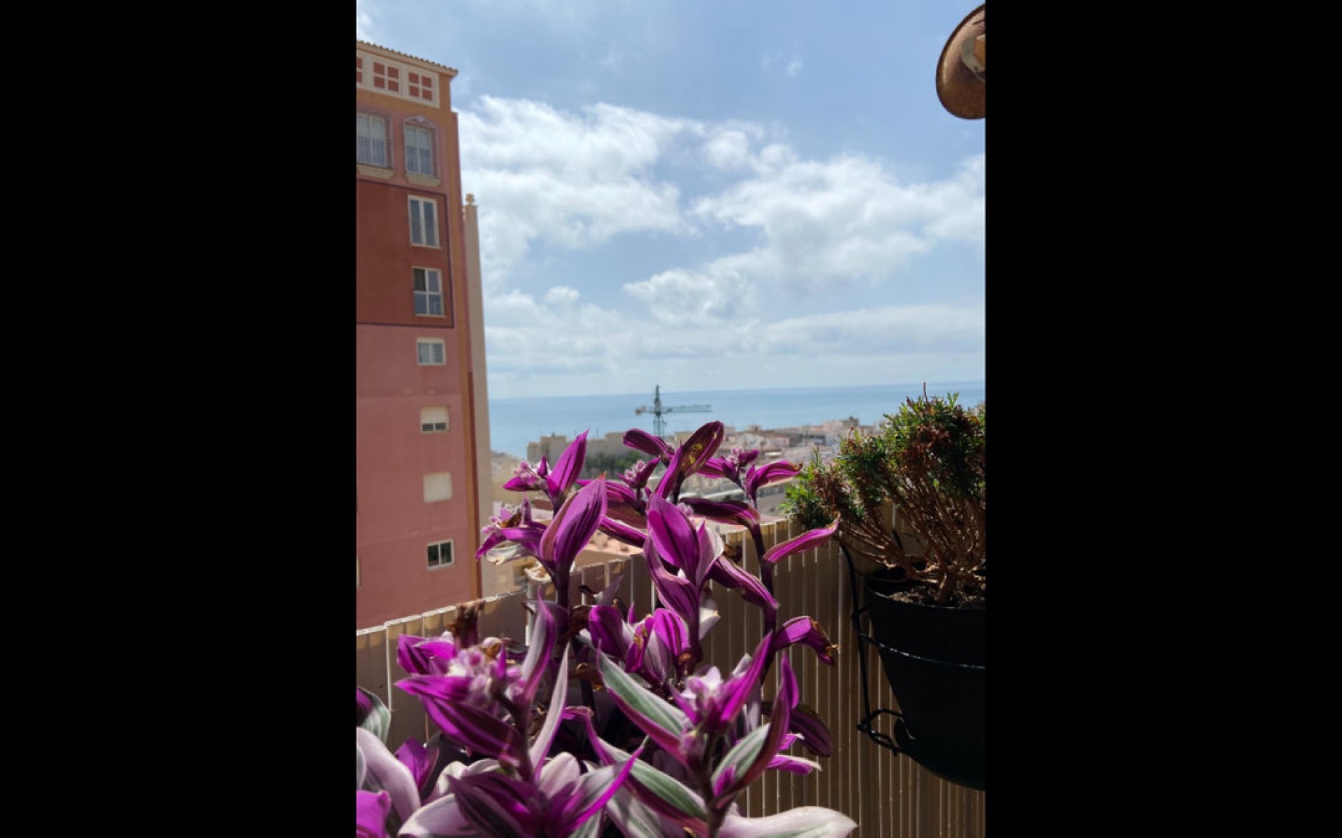 Resale - Apartment - Torrevieja - Torrevieja Centro