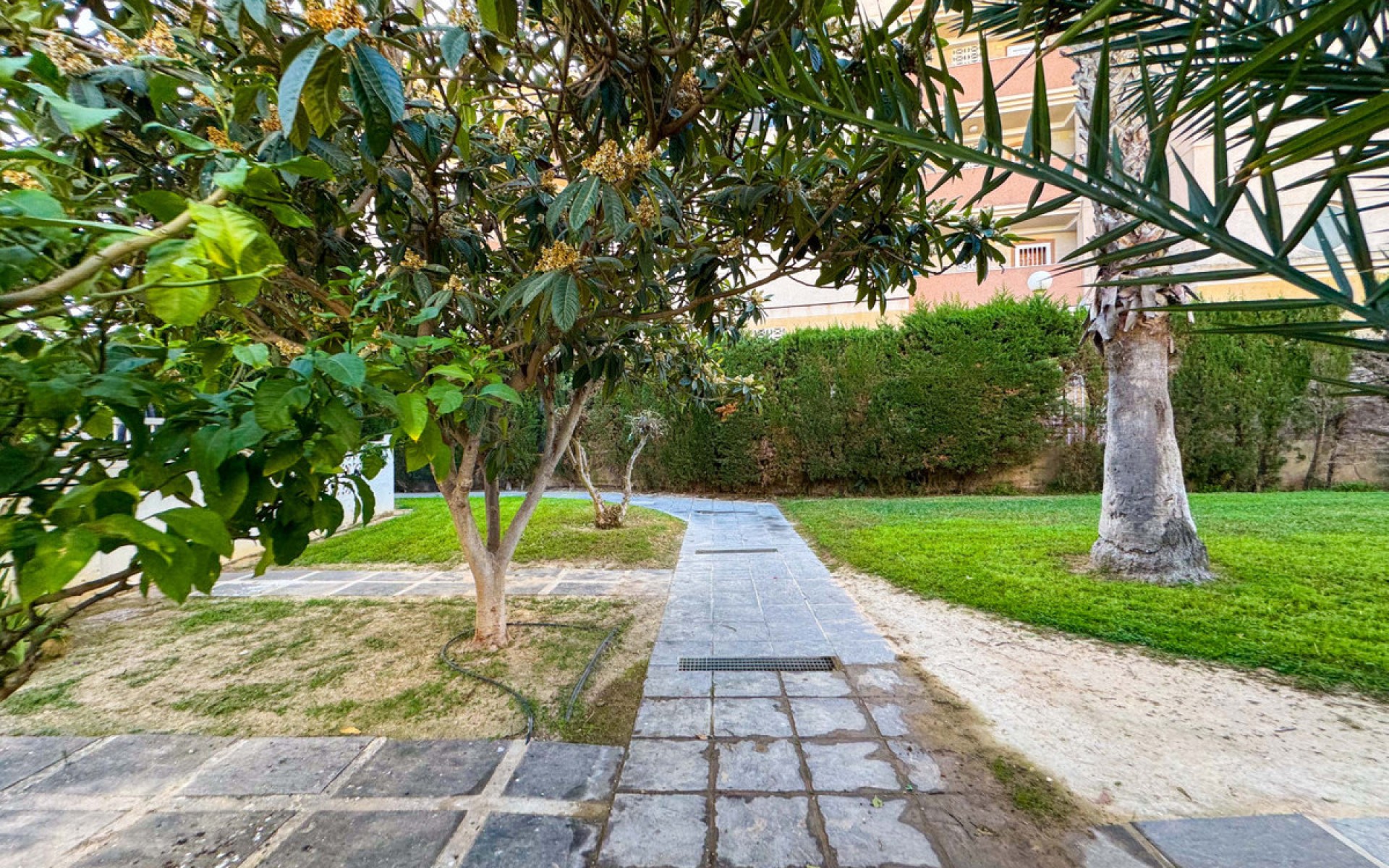 Resale - Apartment - Torrevieja - Torrevieja Centro