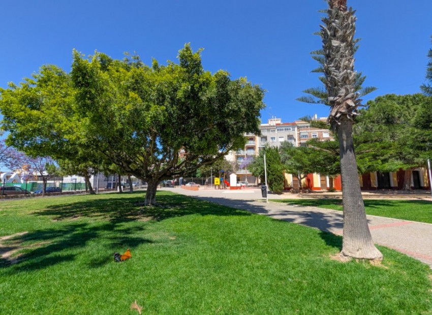 Resale - Apartment - Torrevieja - Torrevieja Centro