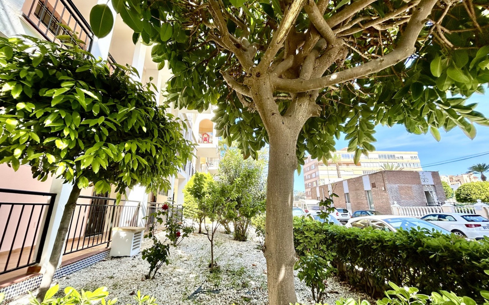 Resale - Apartment - Torrevieja - Torrevieja Centro