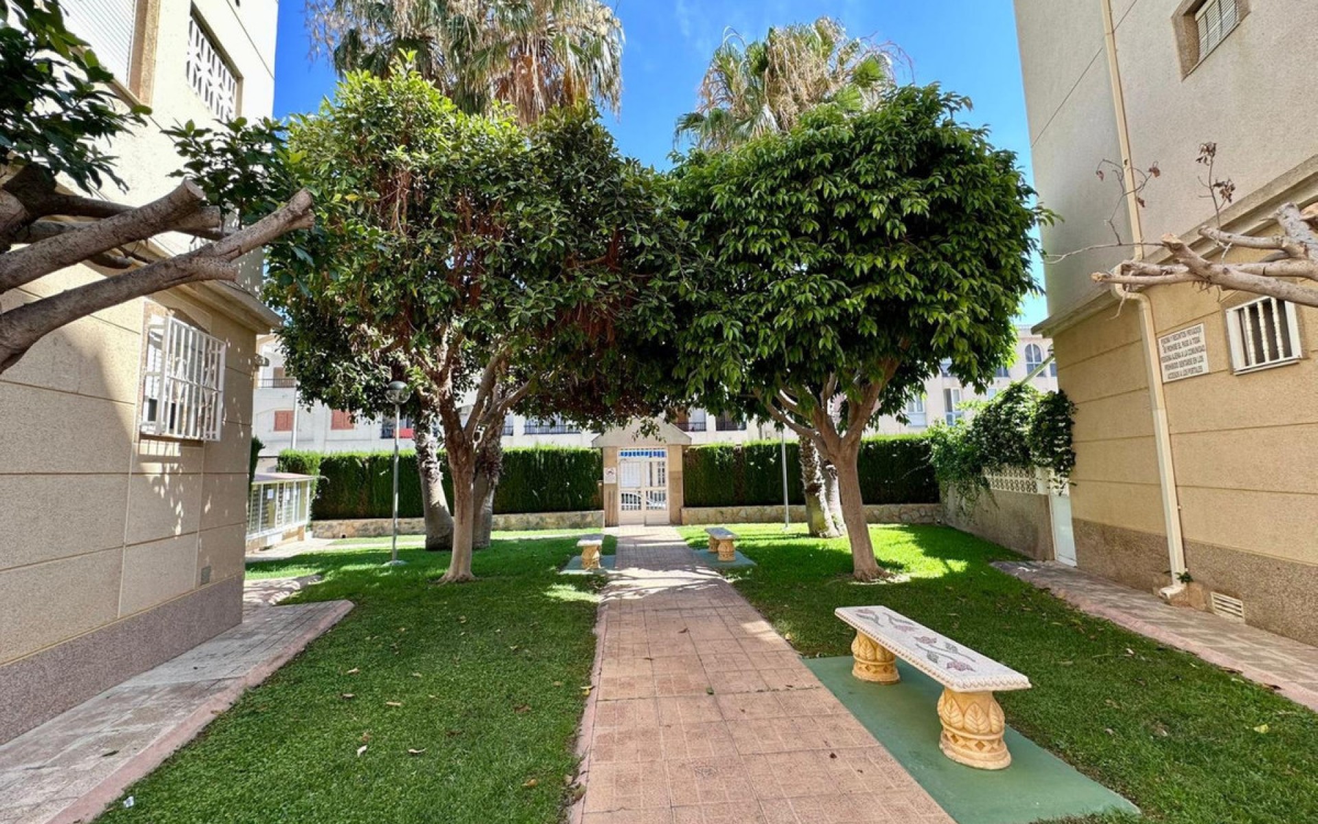 Resale - Apartment - Torrevieja - Torrevieja Centro