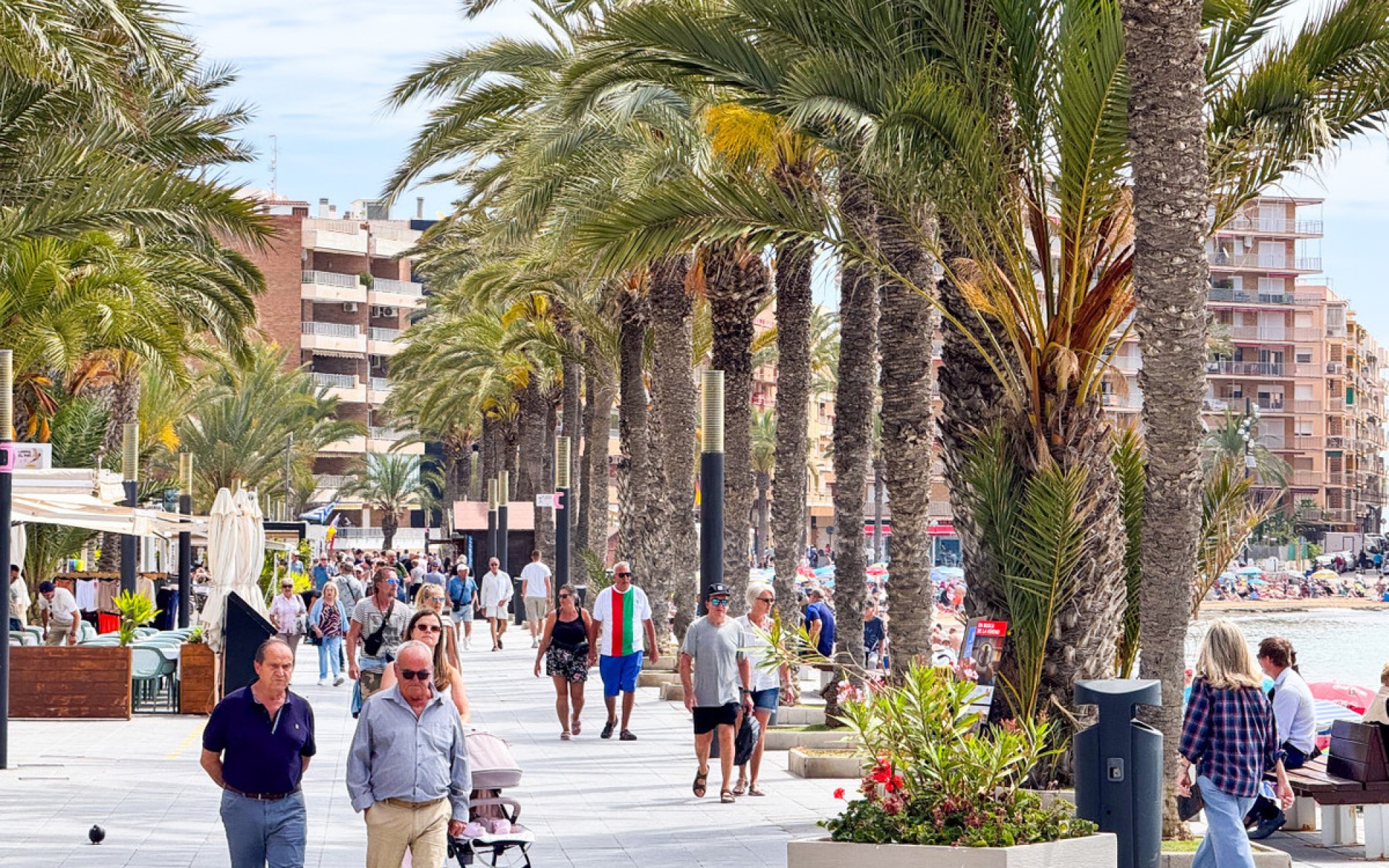 Resale - Apartment - Torrevieja - Torrevieja Centro