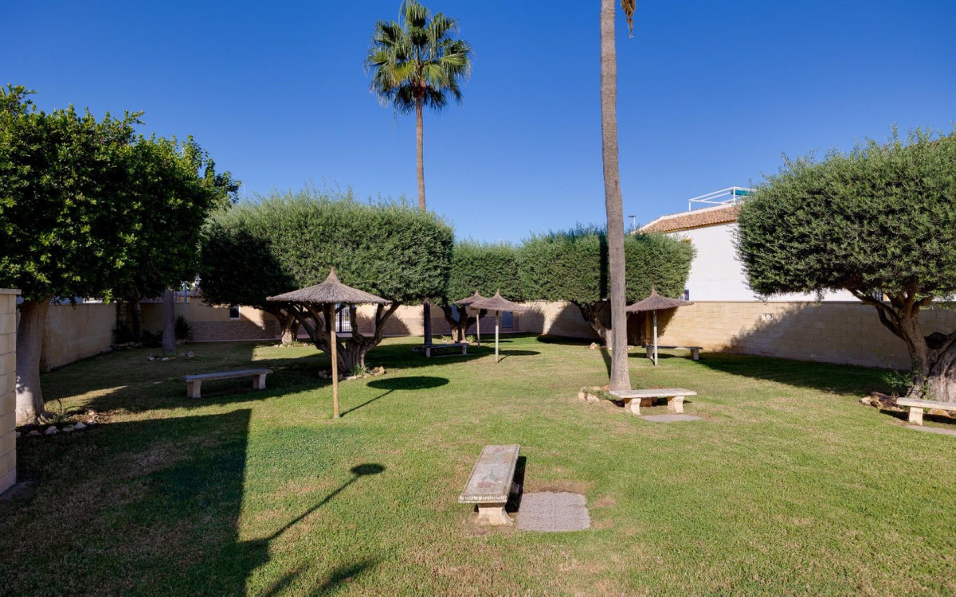 Resale - Apartment - Torrevieja - Torrevieja Centro