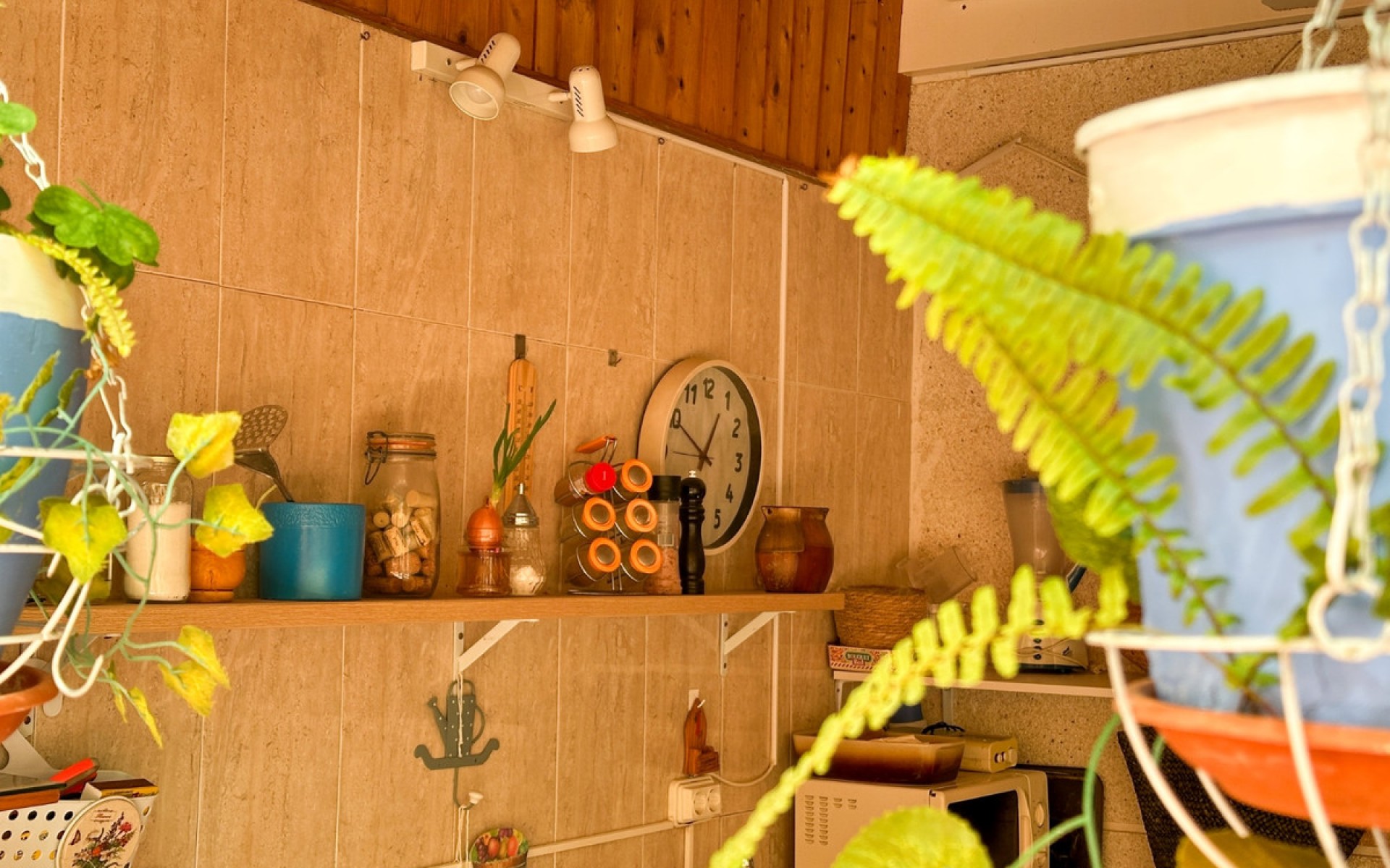 Resale - Apartment - Torrevieja - Torrevieja Centro