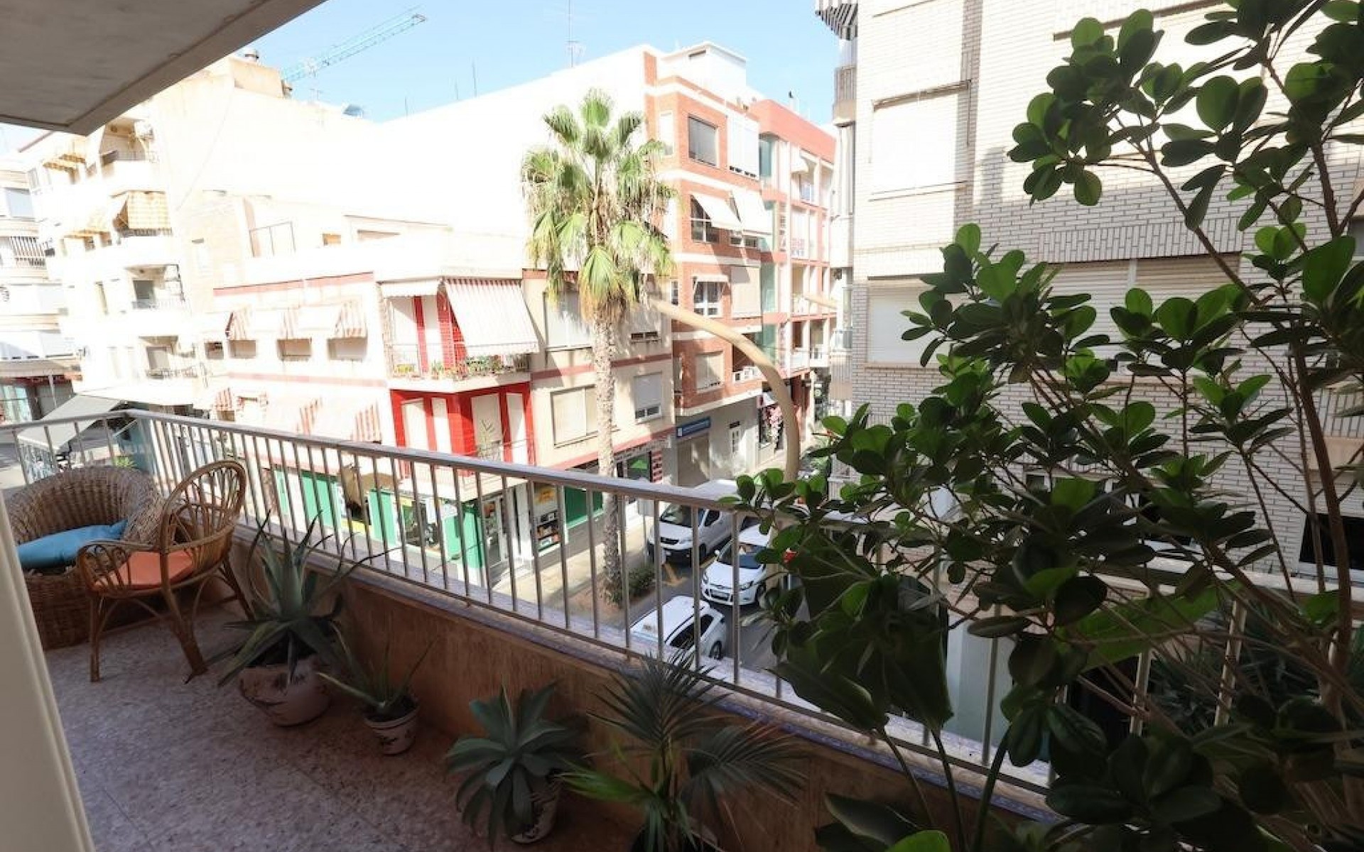 Resale - Apartment - Torrevieja - Torrevieja Centro
