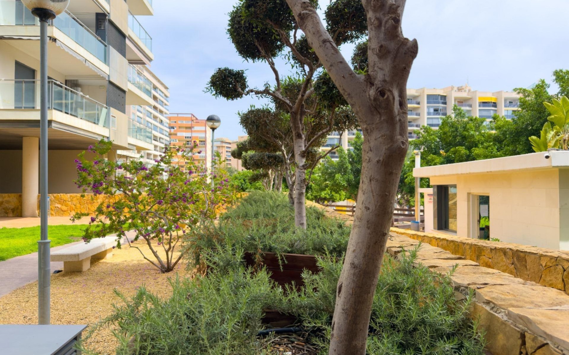 Resale - Apartment - Villajoyosa - Villajoyosa Centro