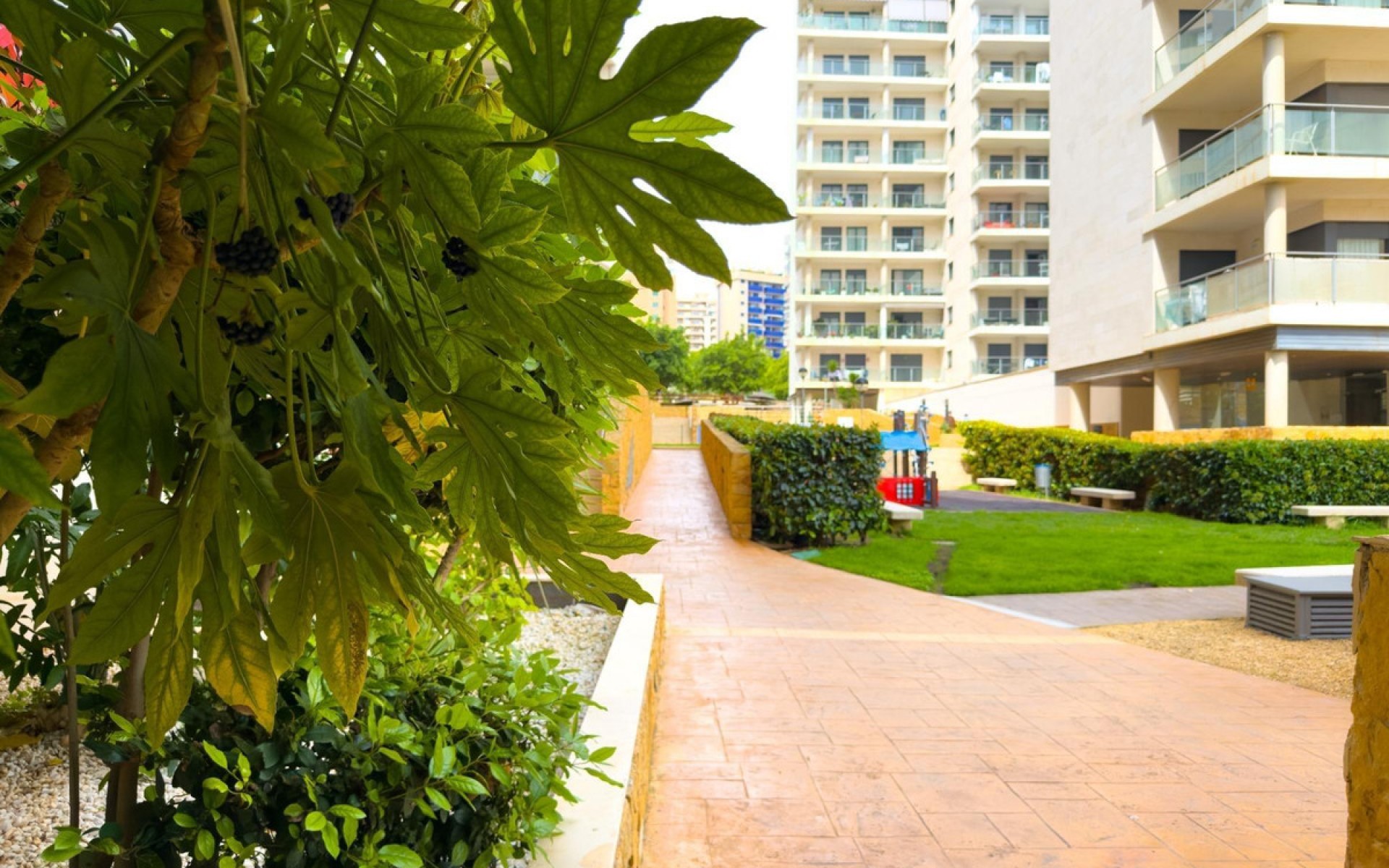 Resale - Apartment - Villajoyosa - Villajoyosa Centro