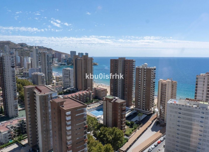 Resale - Appartement - Benidorm - Benidorm Centro