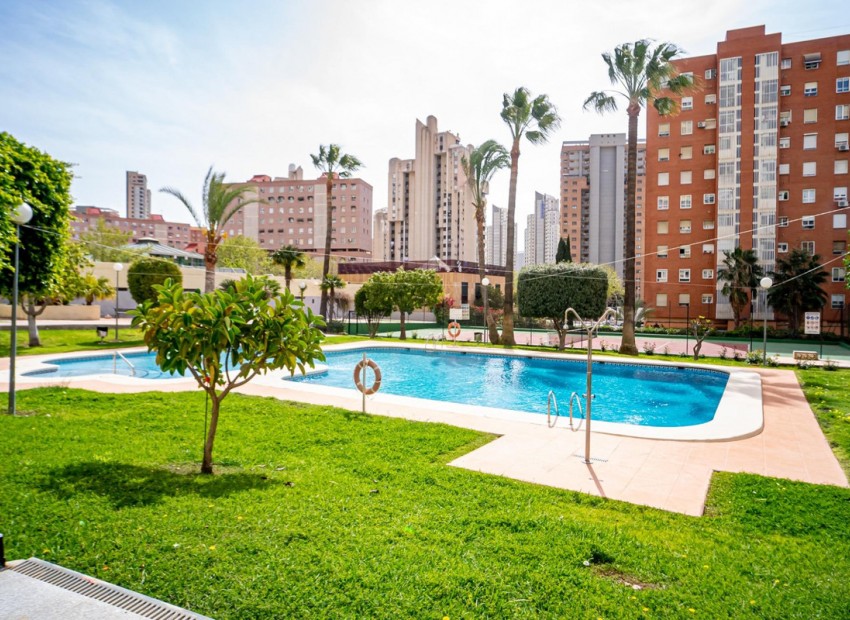Resale - Appartement - Benidorm - Benidorm Centro