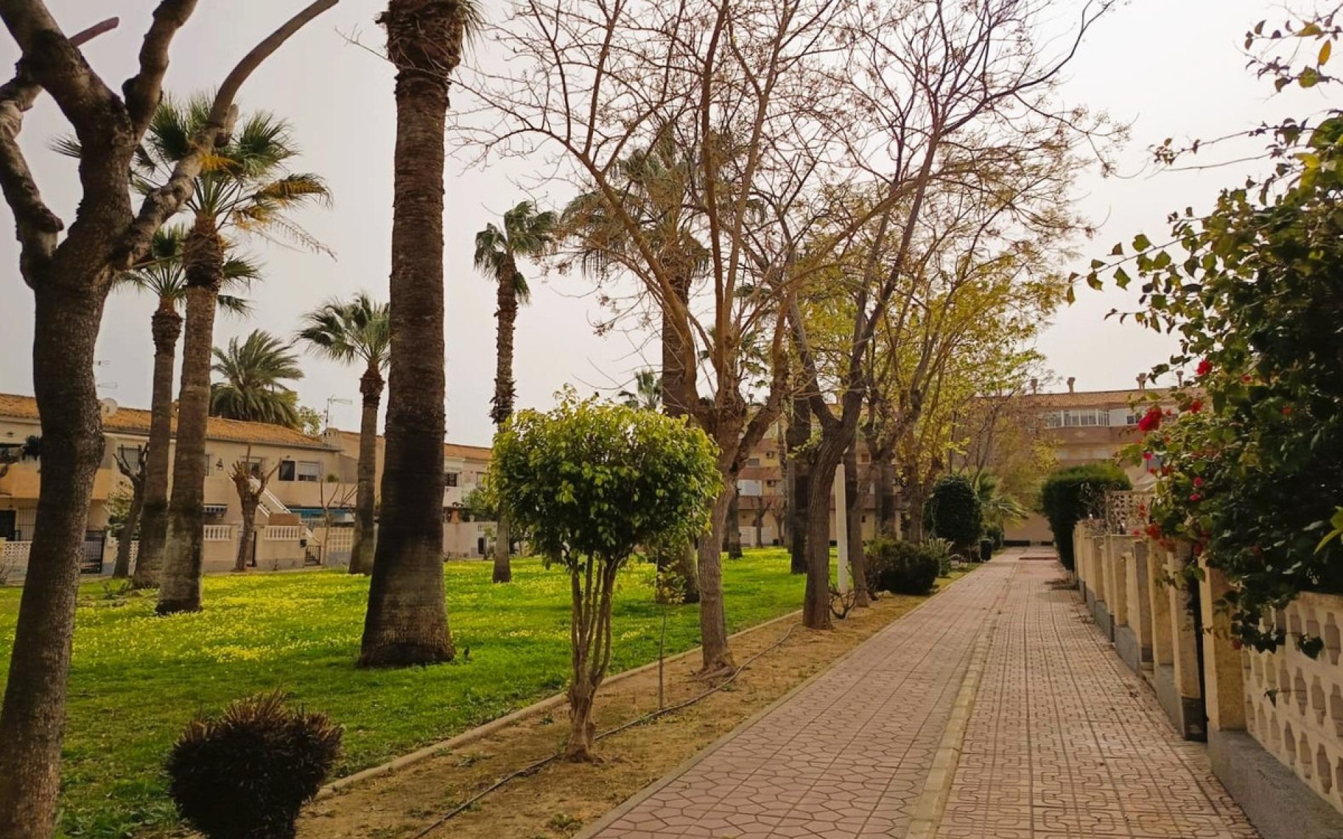 Resale - Appartement - Cabo Roig - La Regia